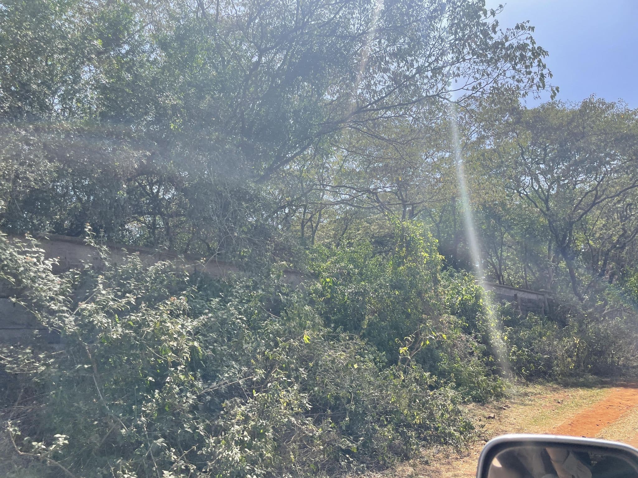 Street view near The Retreat At Giraffe Manor, Lang'ata — © ZWL (CC BY-SA · Mapillary)