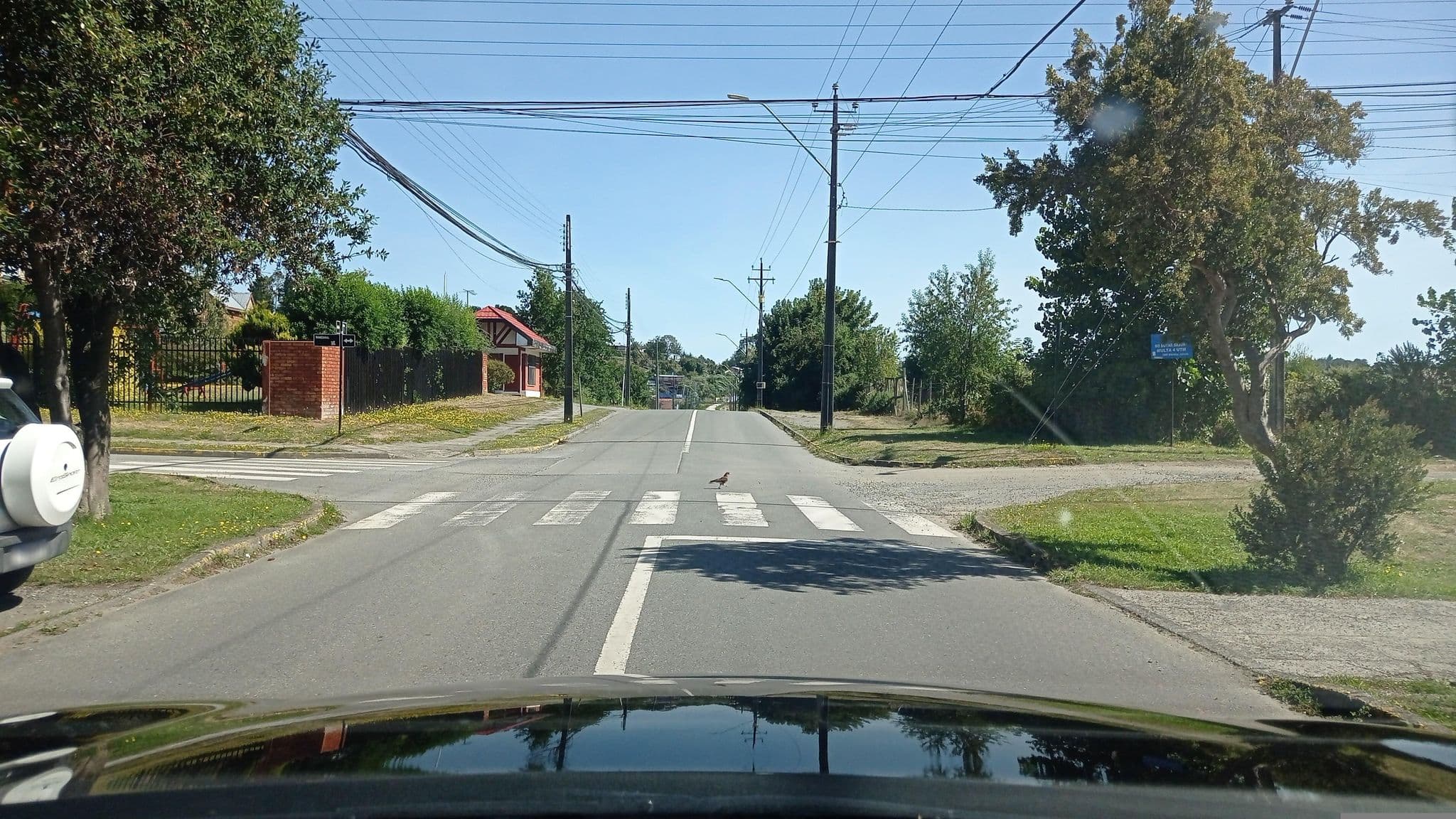 Street view near Patagonia Route Bed And Breakfast, Puerto Varas — © ariellopez (CC BY-SA · Mapillary)