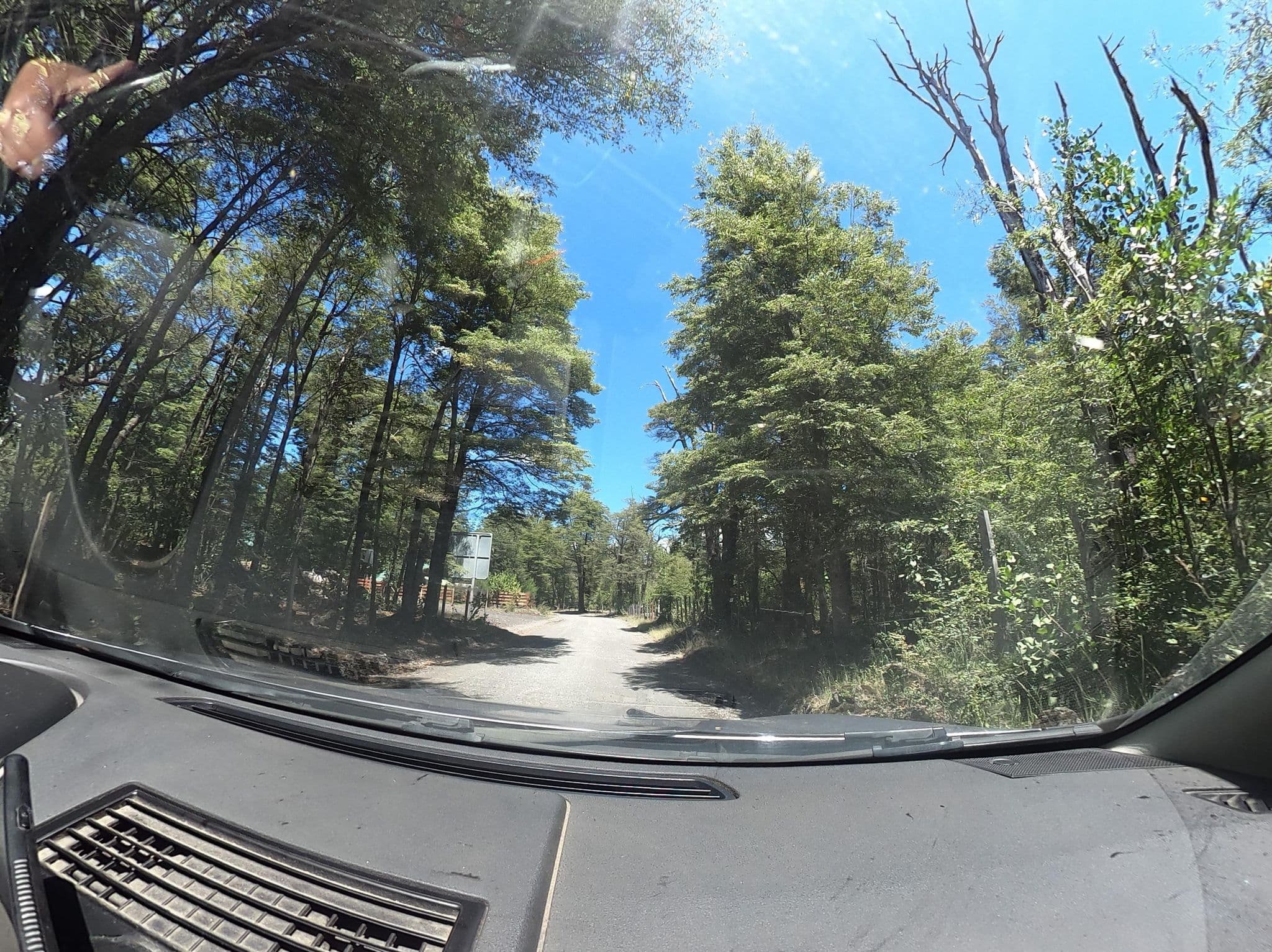 Street view near Llaima Camp, Cabañas y Camping, Curacautín — © felipeeugenio (CC BY-SA · Mapillary)