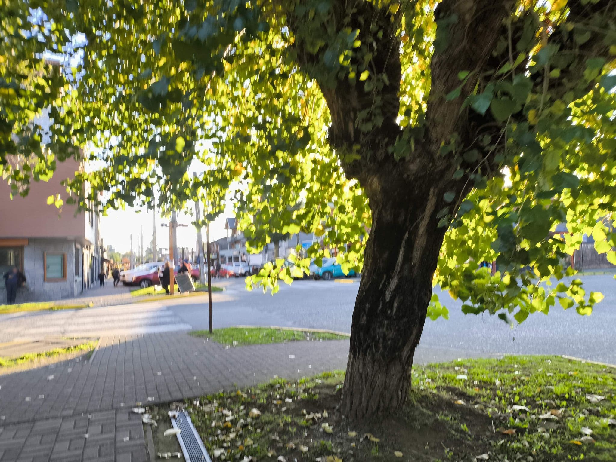 Street view near Pucon Apart Hotel, Pucón — © cotelabarca (CC BY-SA · Mapillary)