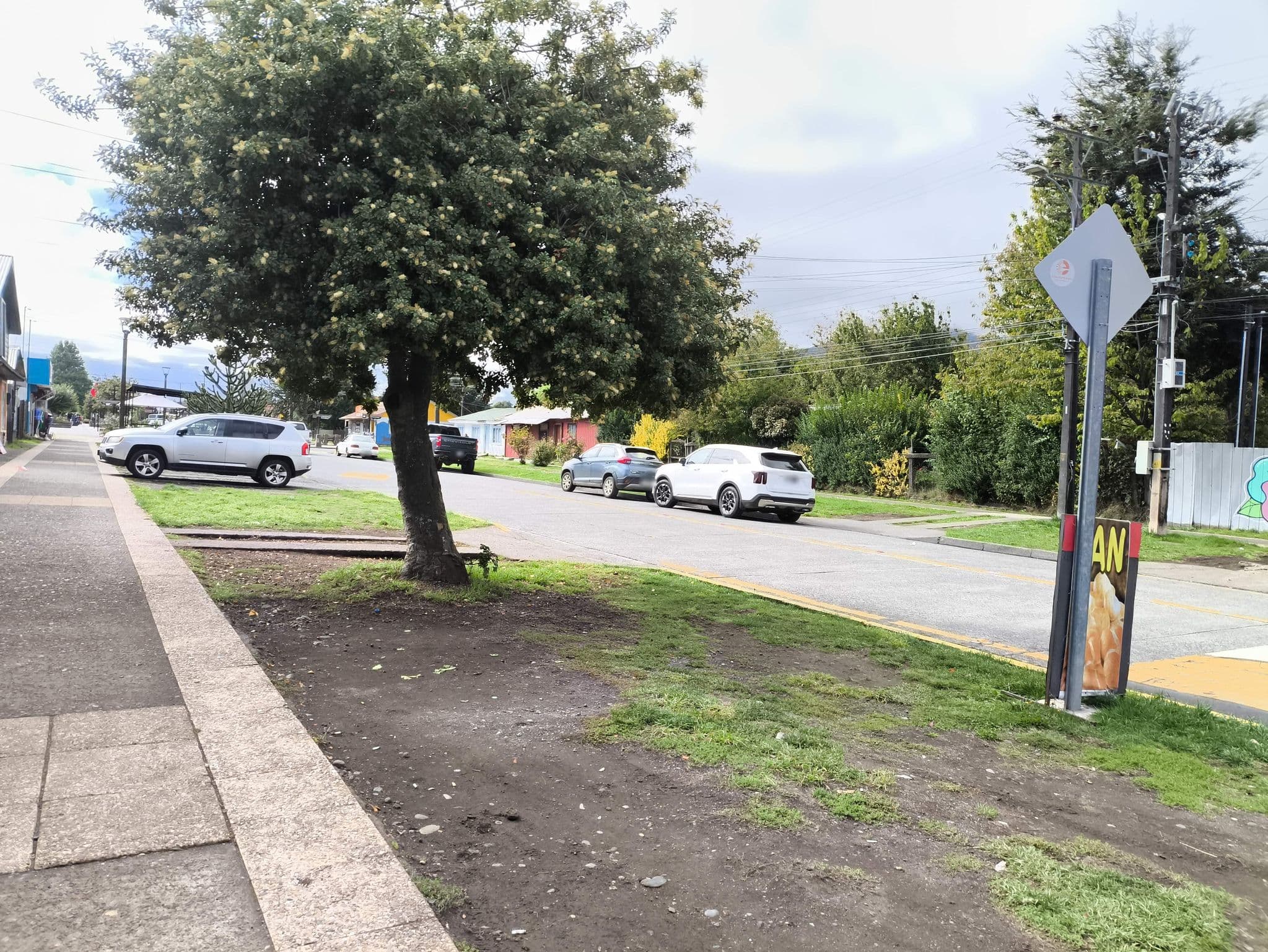 Street view near Cabañas La Baita, Melipeuco — © cotelabarca (CC BY-SA · Mapillary)