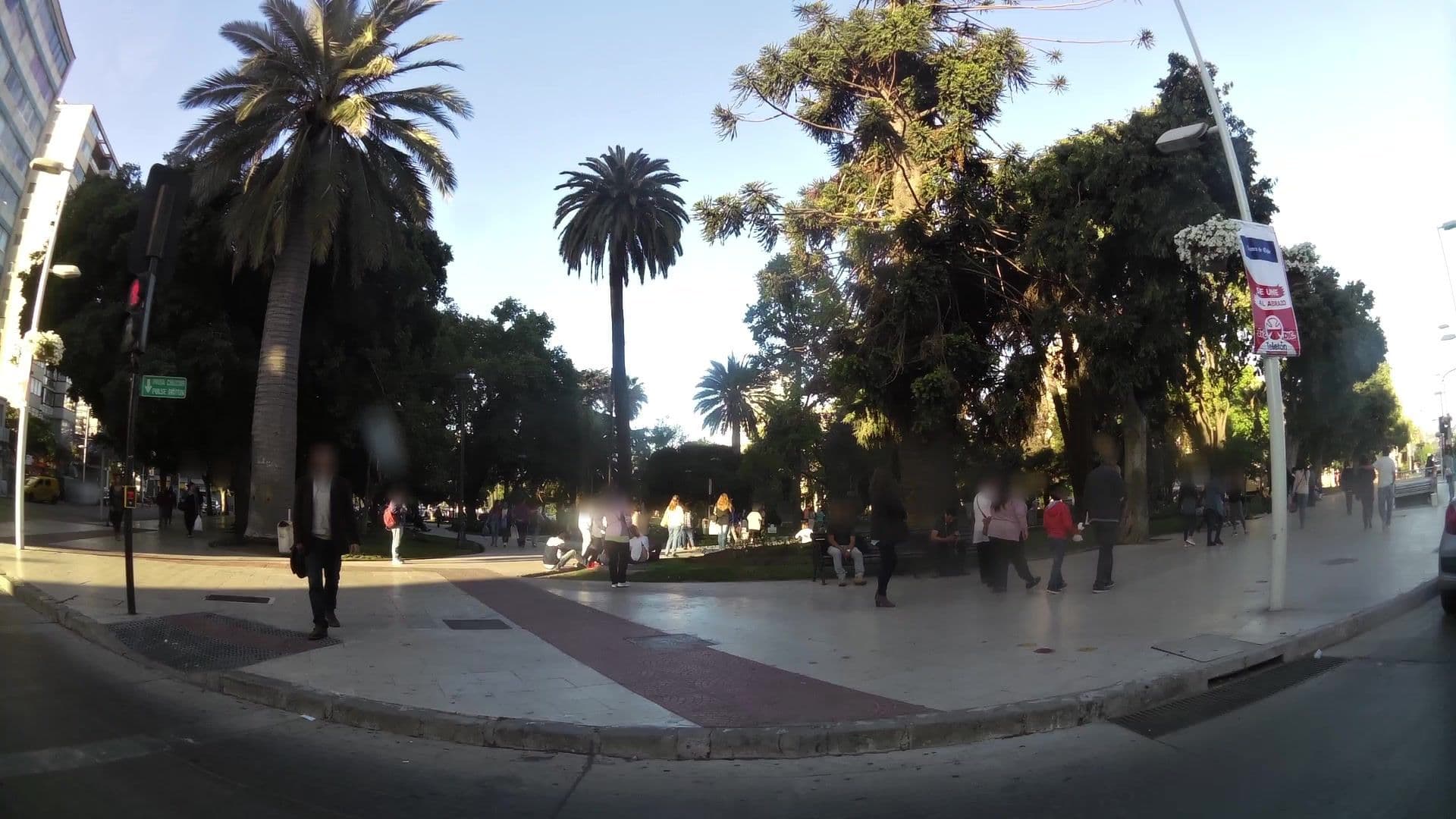Street view near Hotel Altamar La Tasca, Viña del Mar — © kaartcam (CC BY-SA · Mapillary)