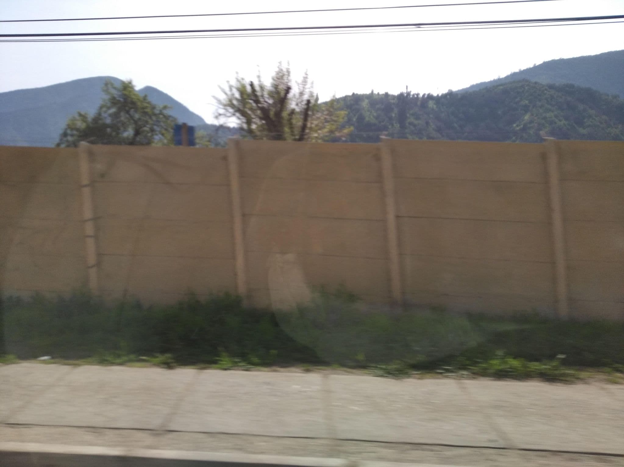 Street view near Cabañas Antilhue, Olmué — © ariellopez (CC BY-SA · Mapillary)