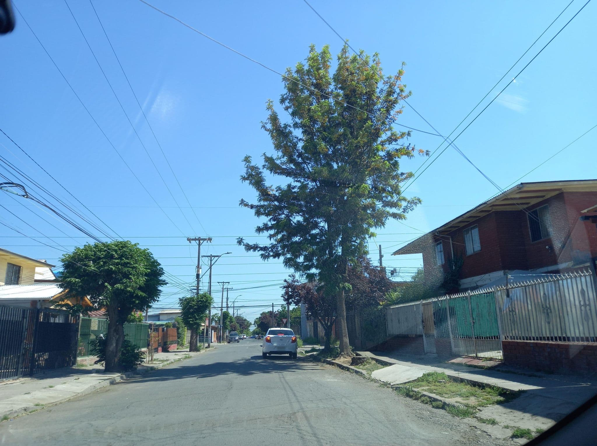 Street view near Los Grillitos, Puente Alto — © uribarri (CC BY-SA · Mapillary)