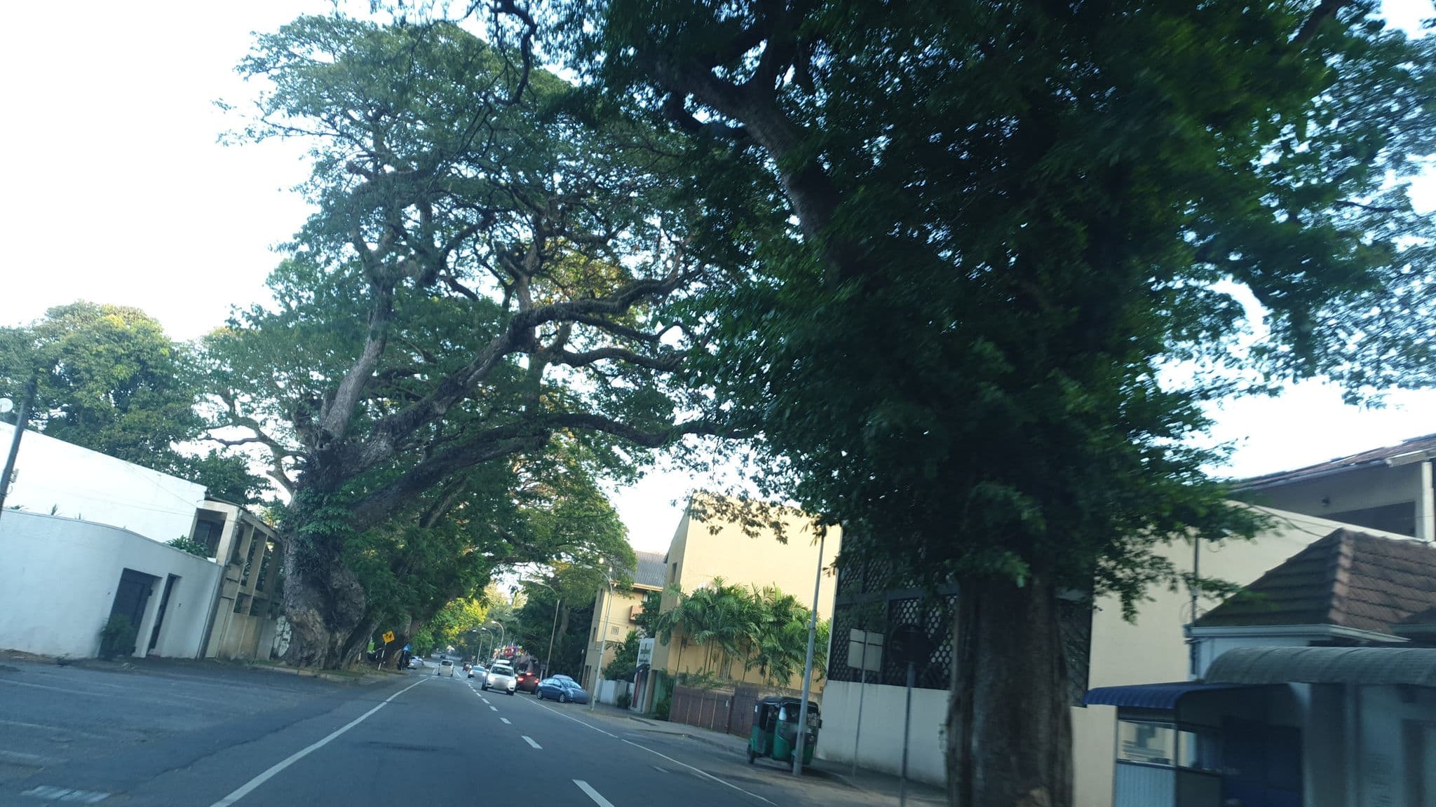 Street view near Hilton, Kolonnawa — © coreagc (CC BY-SA · Mapillary)