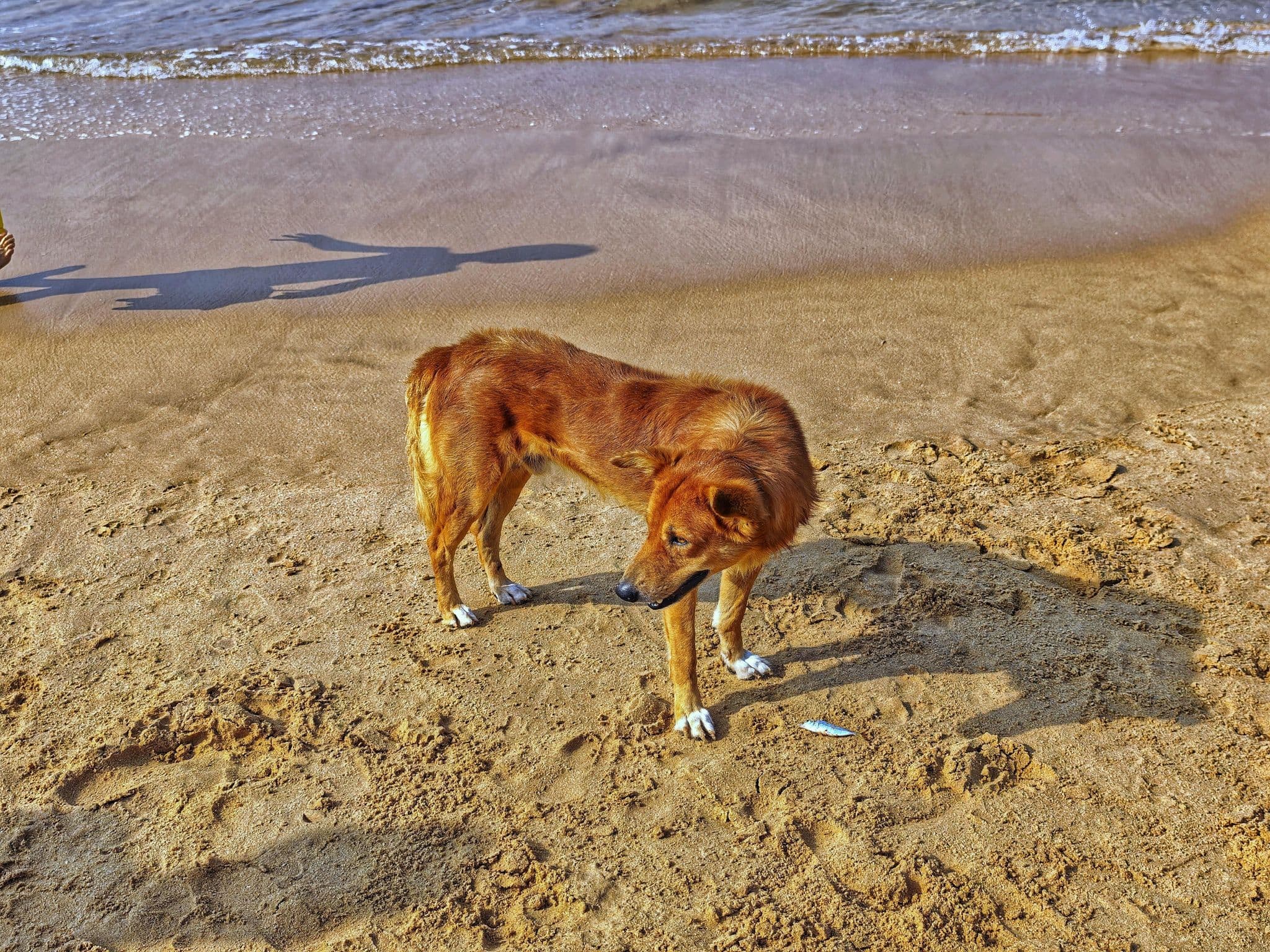Street view near Sunlis beach, Hikkaduwa — © km2bp (CC BY-SA · Mapillary)