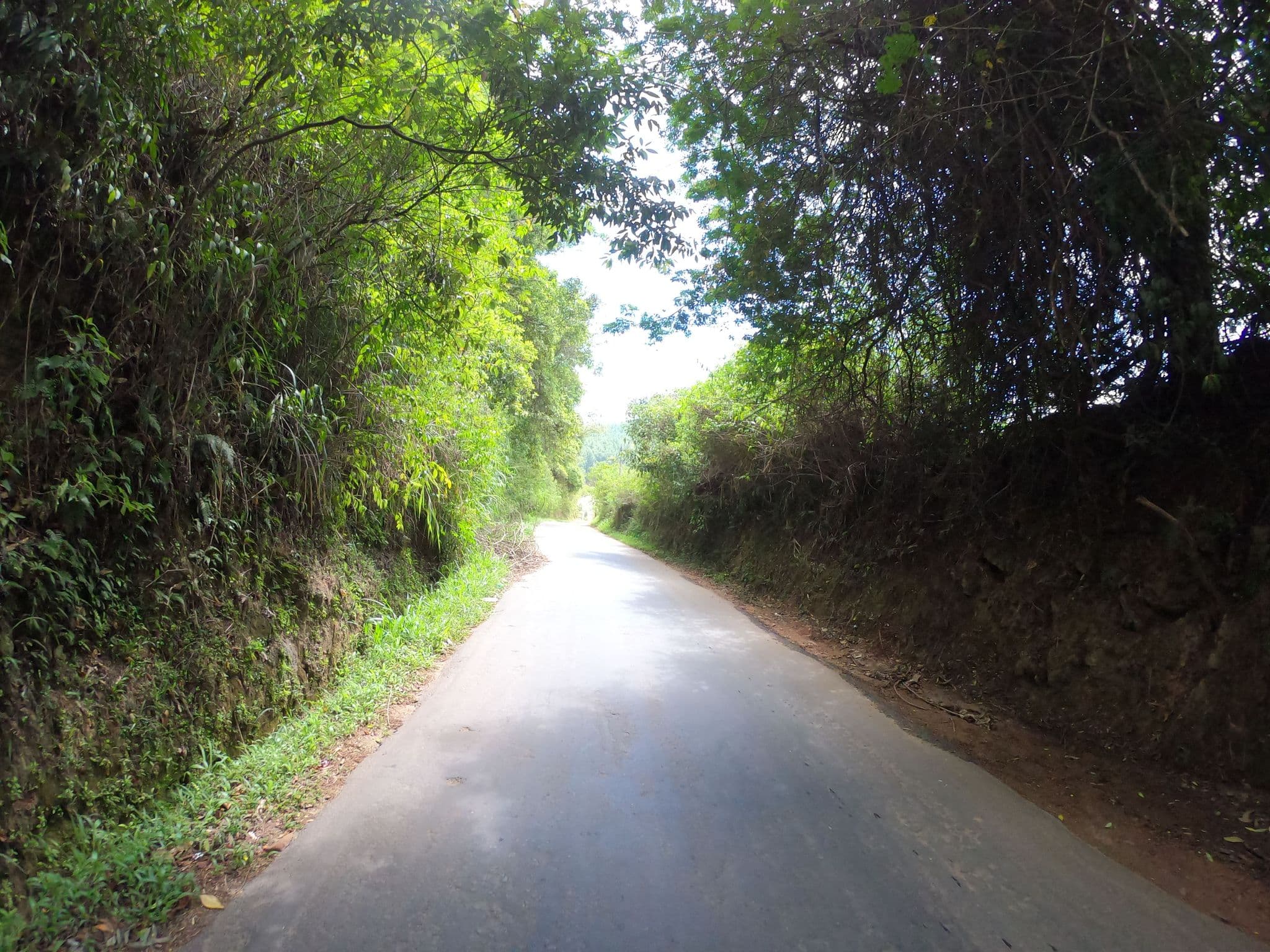Street view near Tunnel Gap Resort Ella, Ella Town — © paulinus (CC BY-SA · Mapillary)