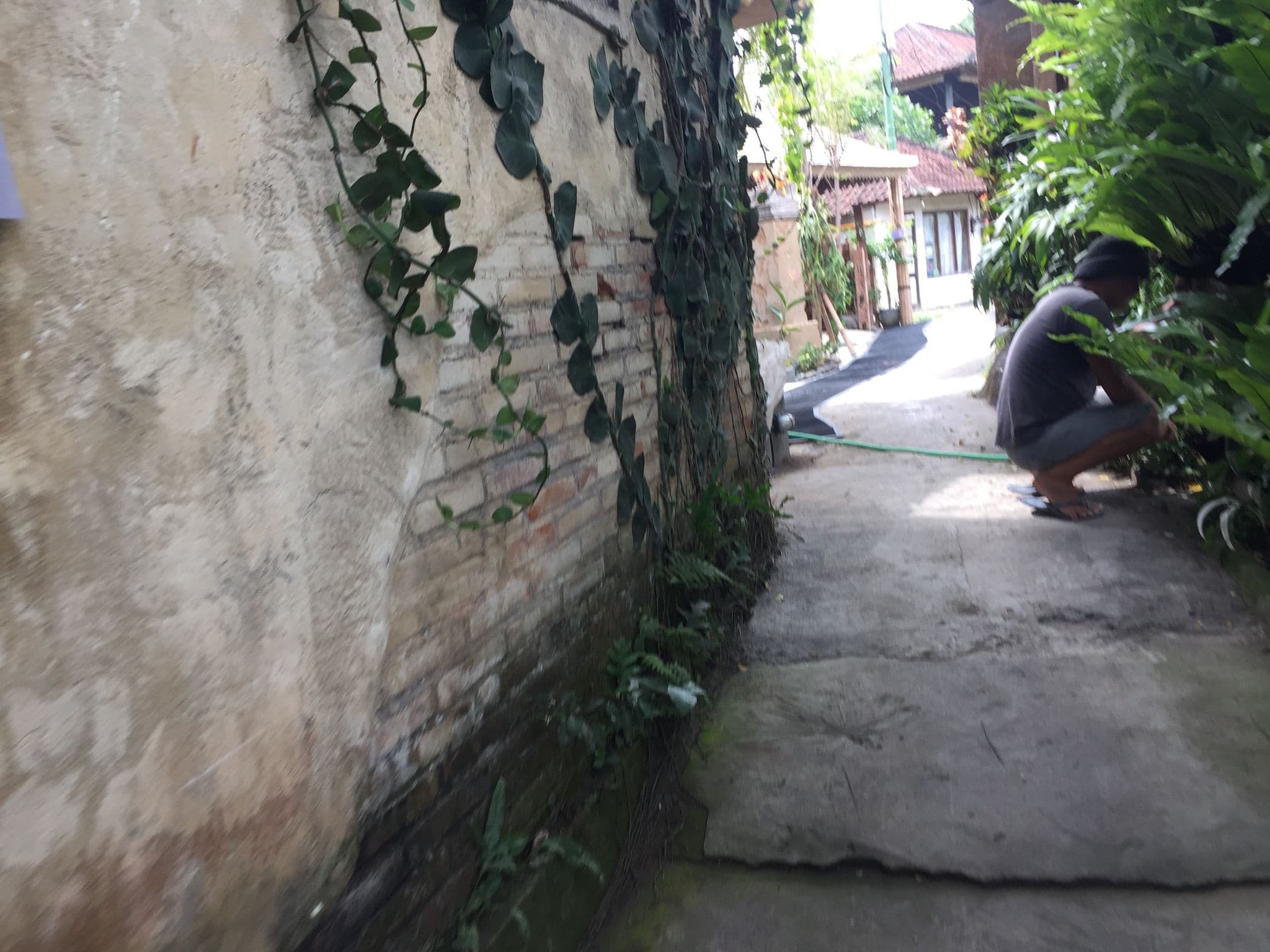 Street view near Villa Pagoda, Ubud