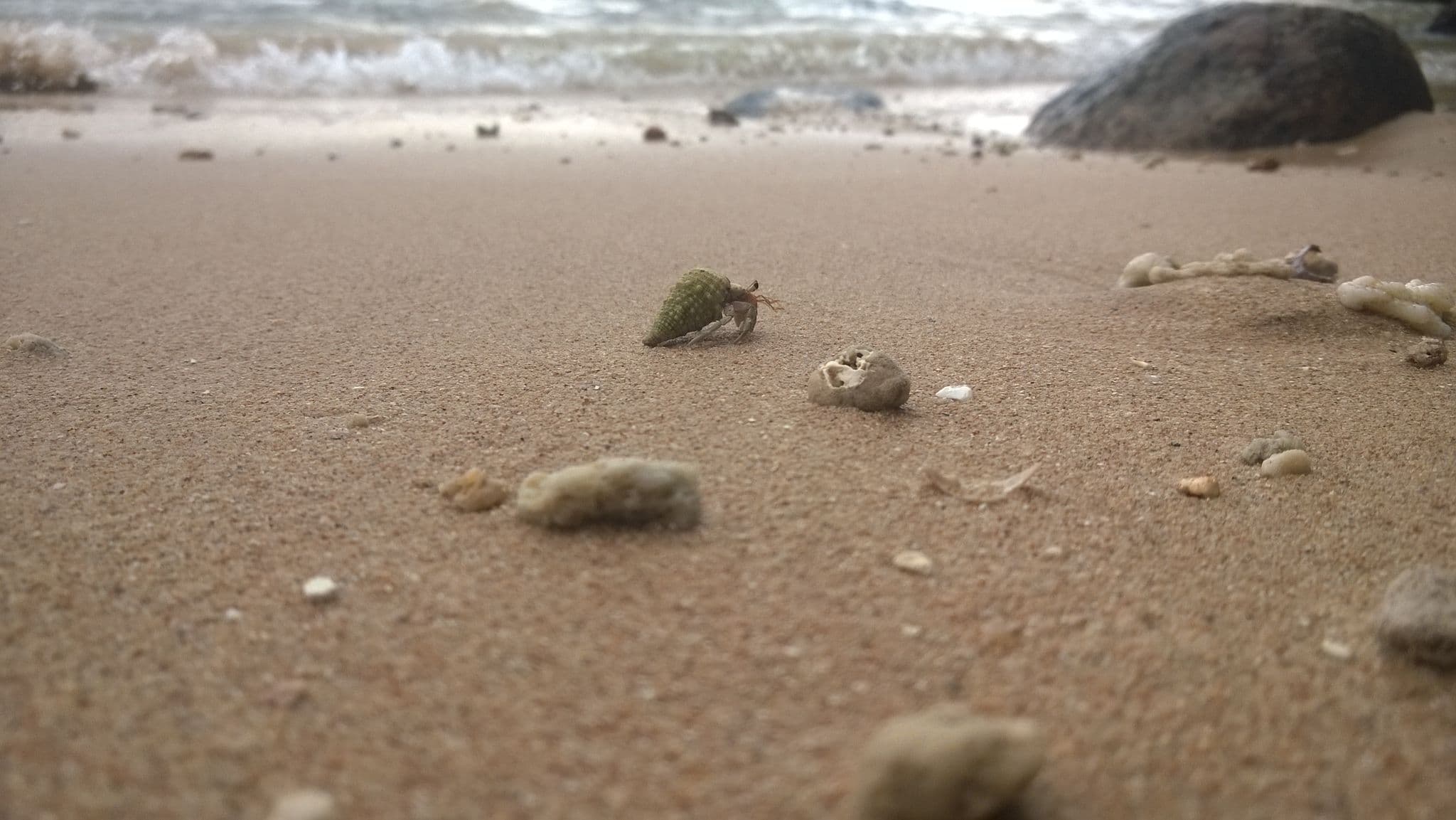 Street view near Corel surf point, Mirissa city — © olenas (CC BY-SA · Mapillary)