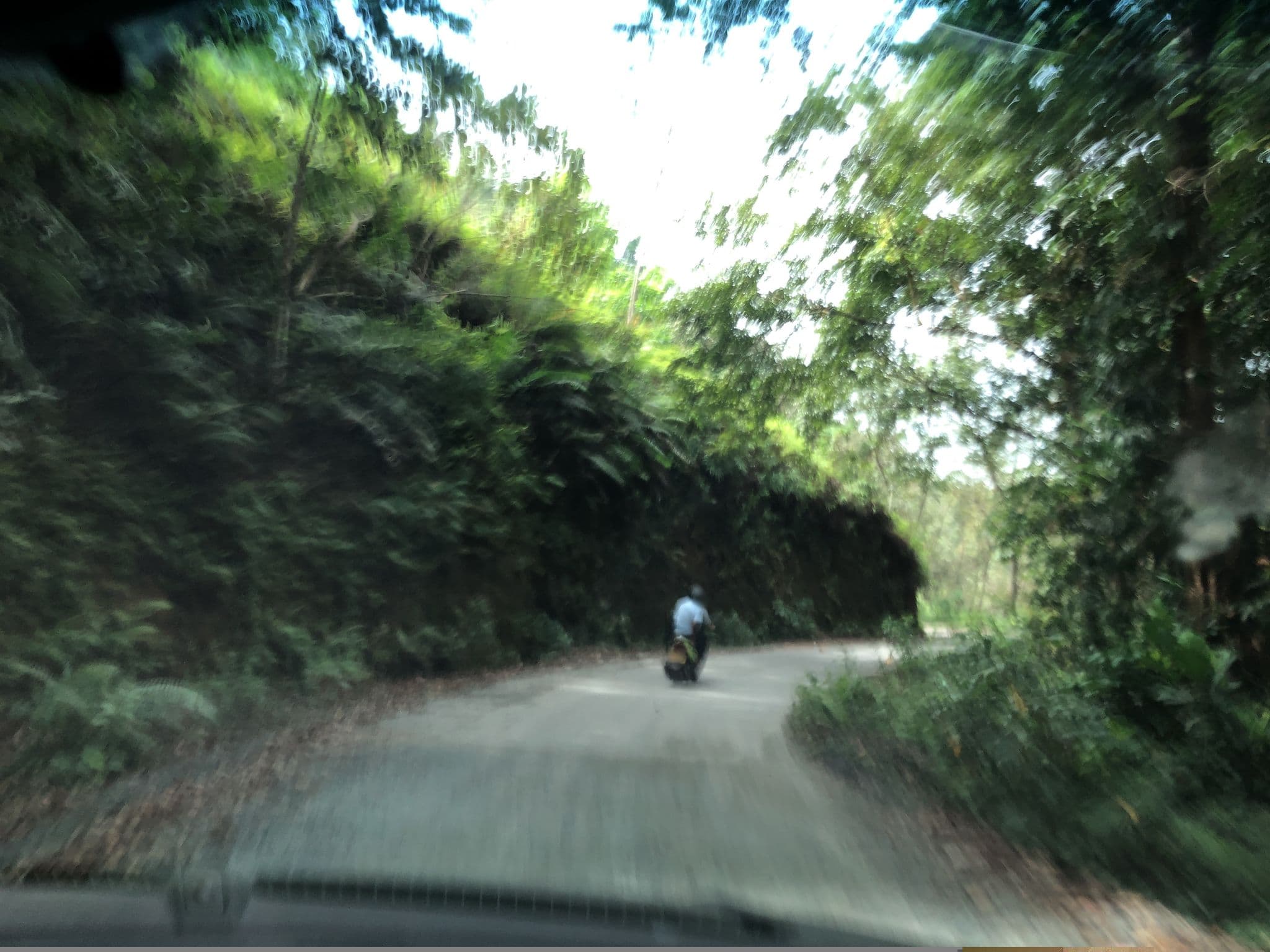 Street view near Royal River Resort, Hatton — © sadeepa (CC BY-SA · Mapillary)