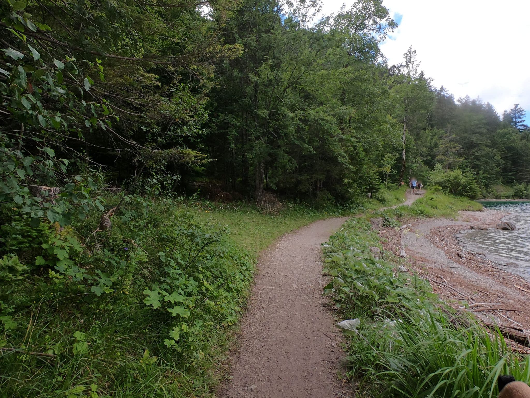 Street view near Fürchterlichhütte, Breitenwang — © schnitzelwagen (CC BY-SA · Mapillary)