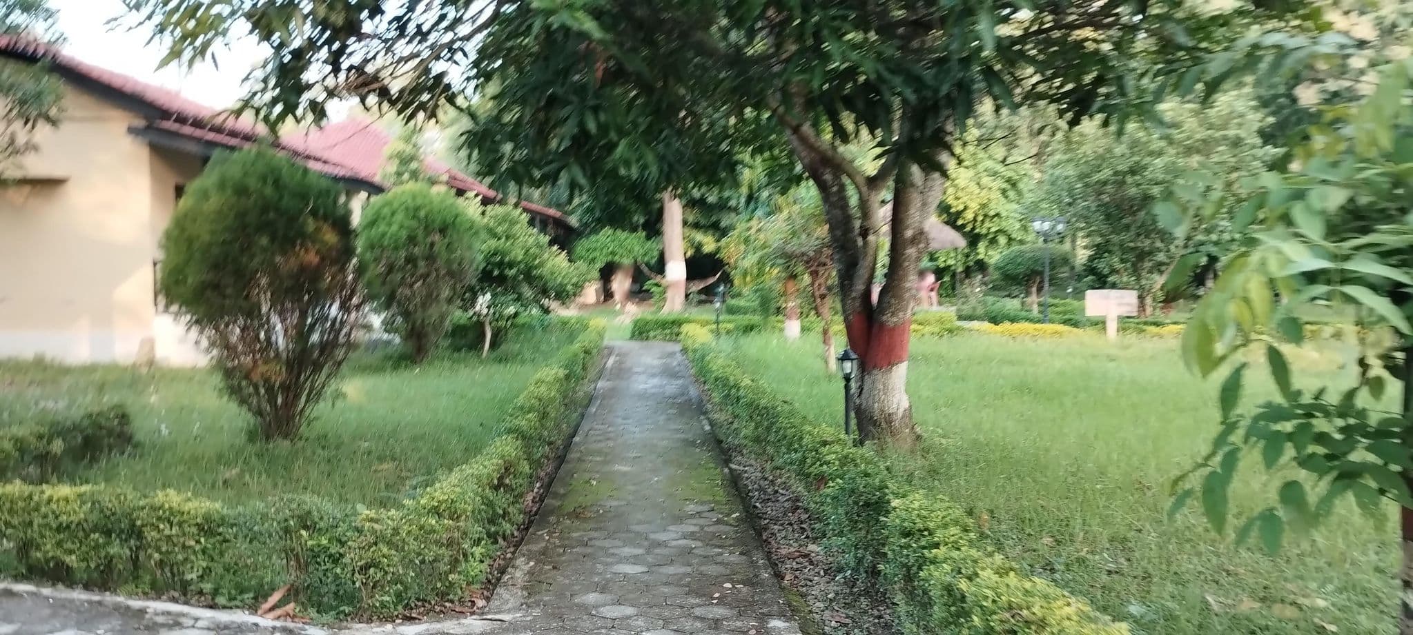 Street view near Bardia Forest Resort, Ṭikāpur — © olily (CC BY-SA · Mapillary)