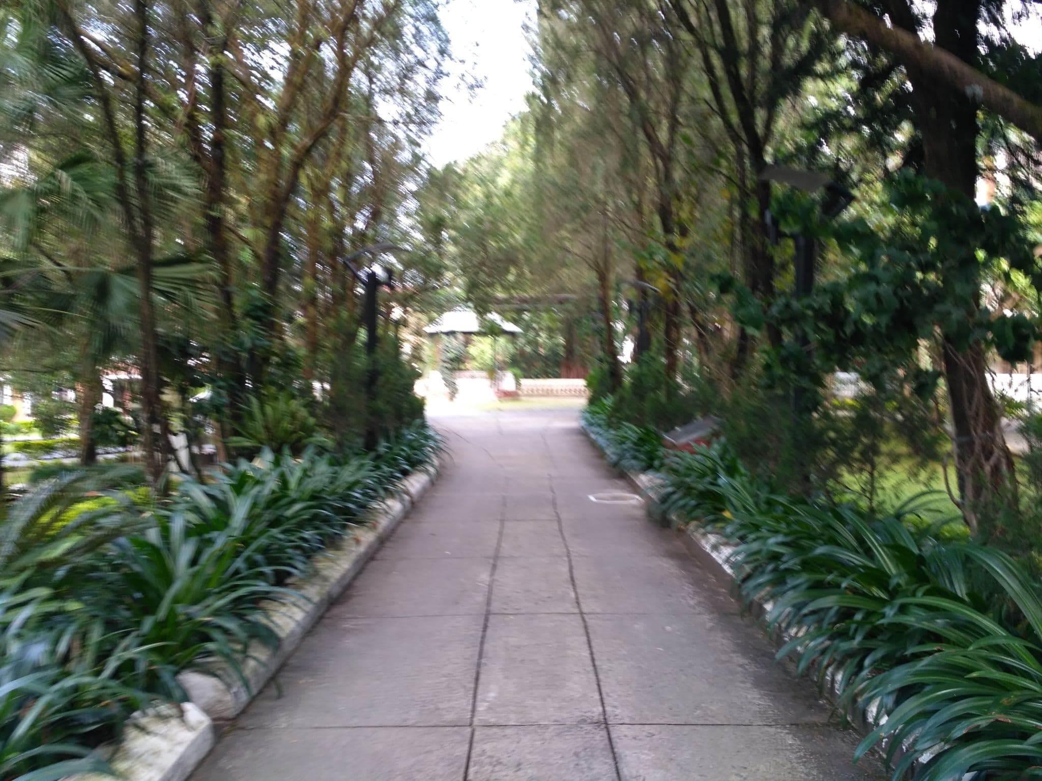 Street view near Hamilton Wing @ Park Village Resort, Chapali̇̄ Bhaḍrakāli̇̄ — © chethan (CC BY-SA · Mapillary)