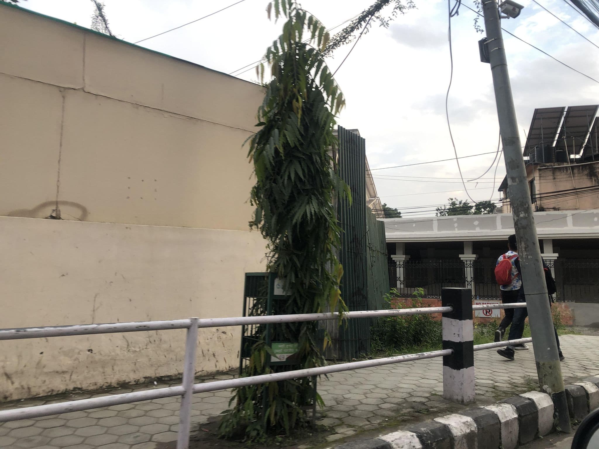 Street view near Ambassador Hotel Kathmandu, Kathmandu — © olily (CC BY-SA · Mapillary)