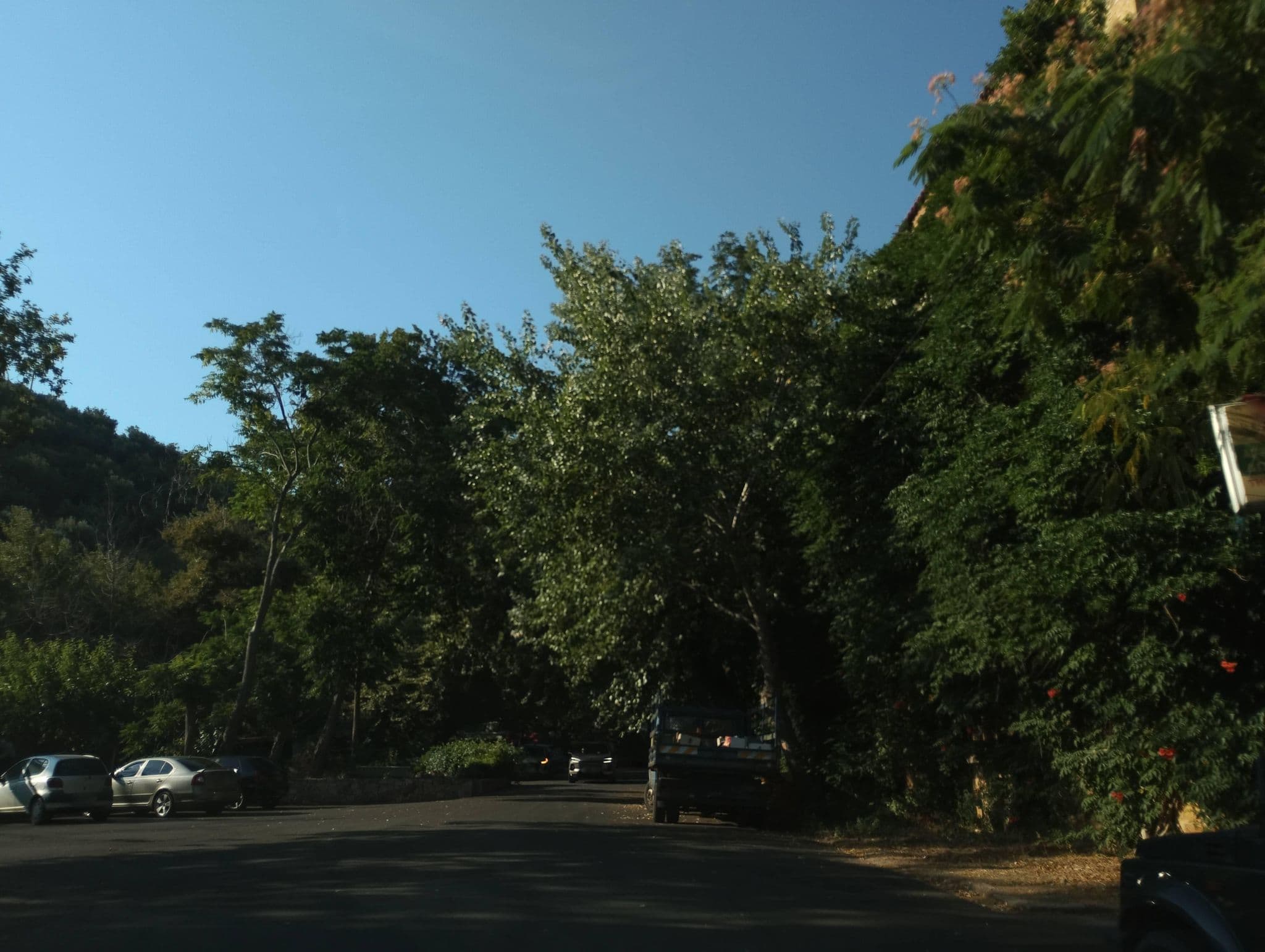 Street view near Hotel 40 platania, Loutrá Aidhipsoú — © George_210 (CC BY-SA · Mapillary)