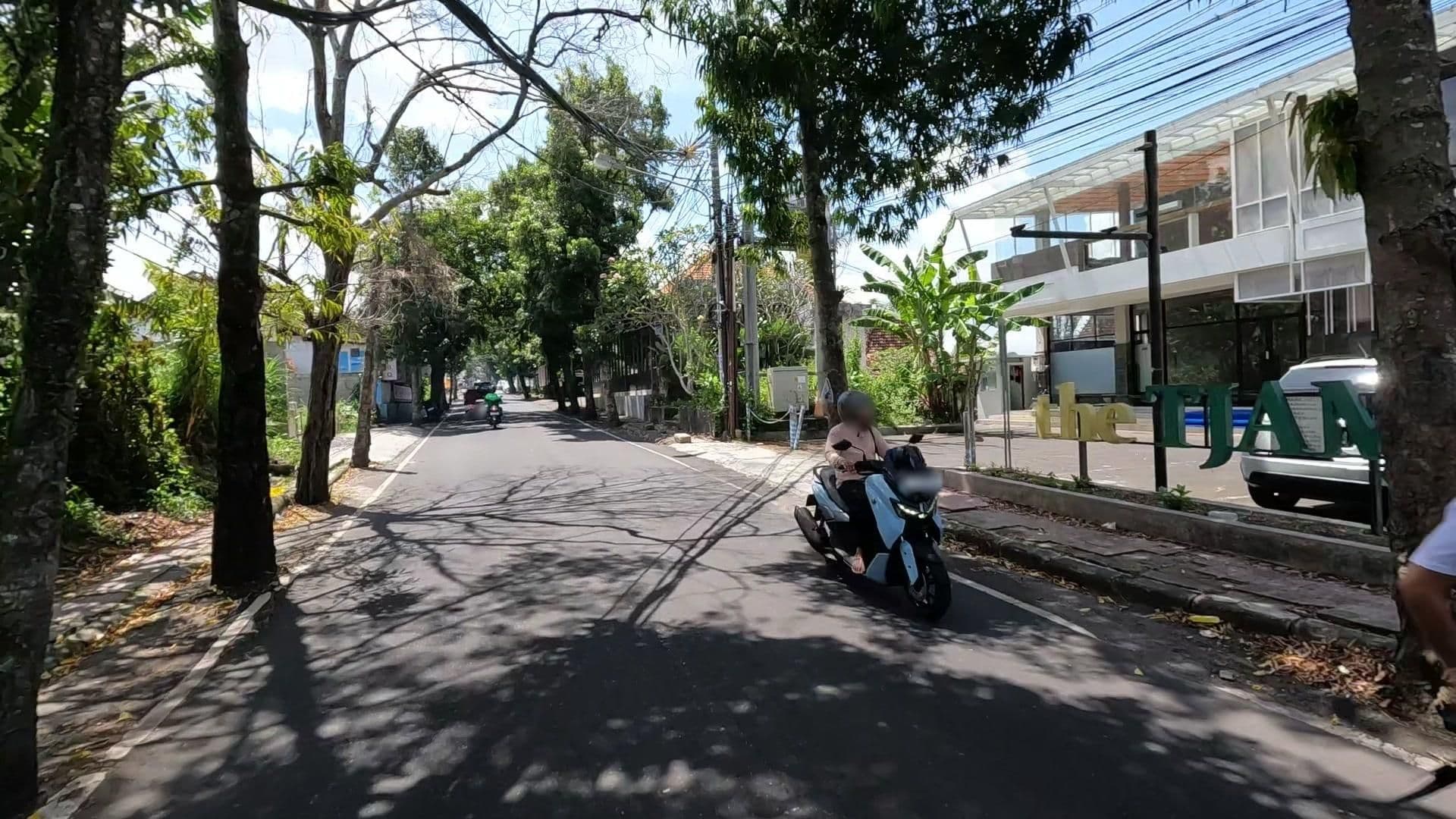 Street view near Anini Raka, Ubud