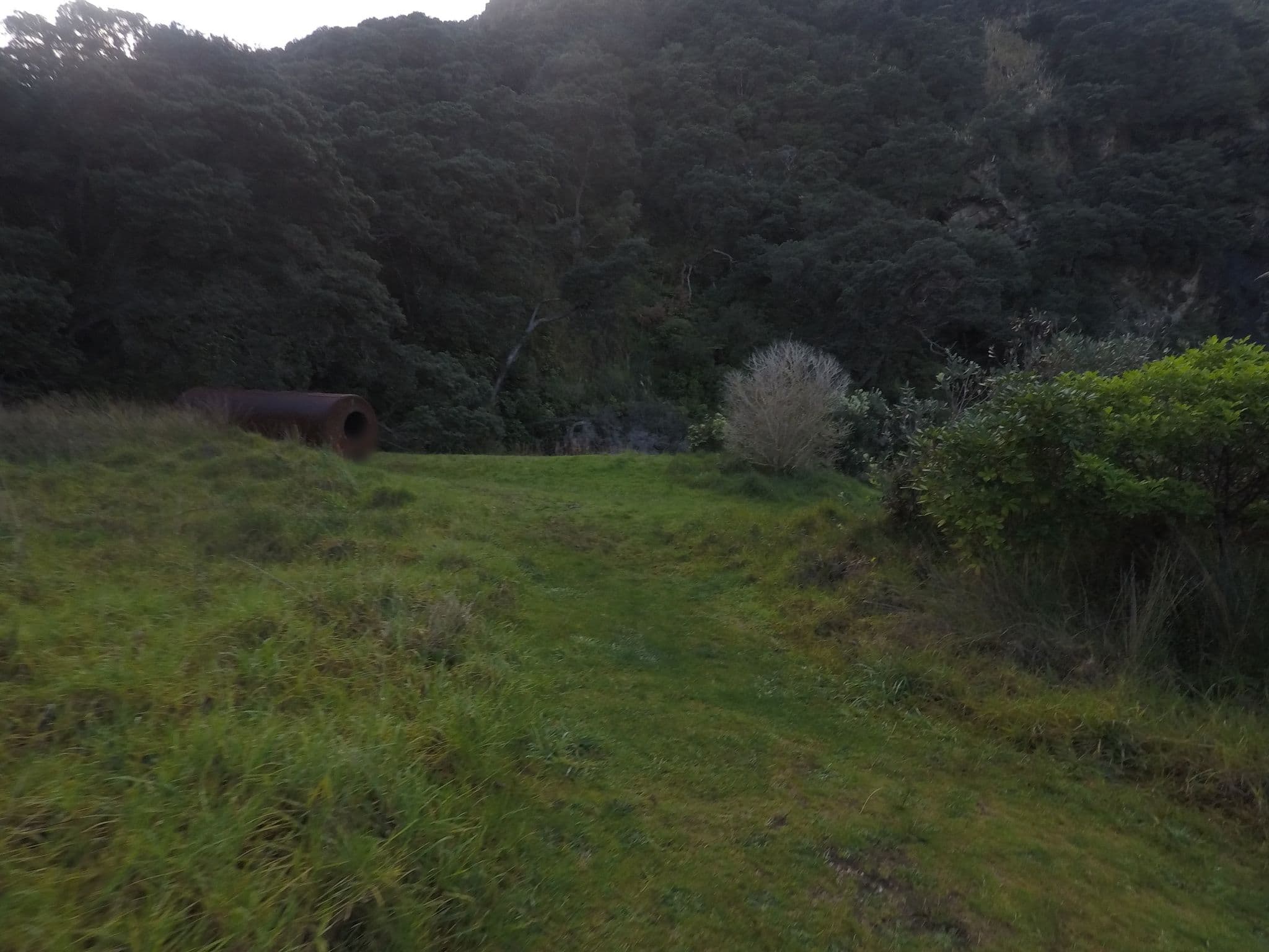 Street view near Tunnel Point Campground, Piha — © ralley (CC BY-SA · Mapillary)