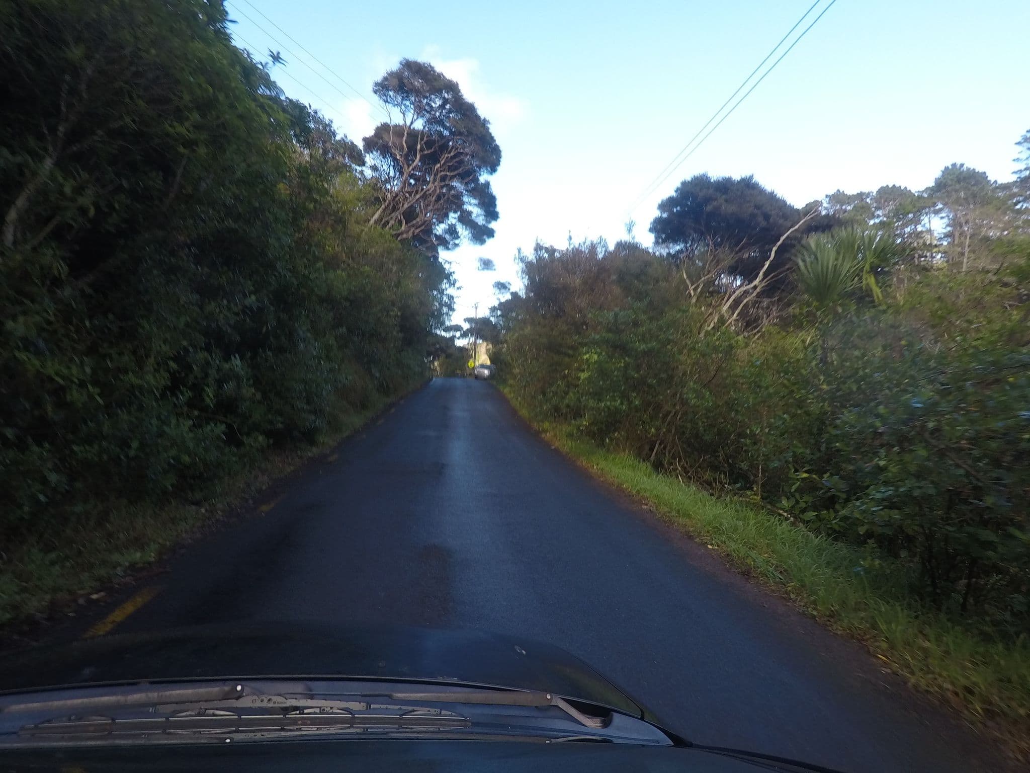 Street view near McCreadies Paddock Campground, Piha — © ralley (CC BY-SA · Mapillary)
