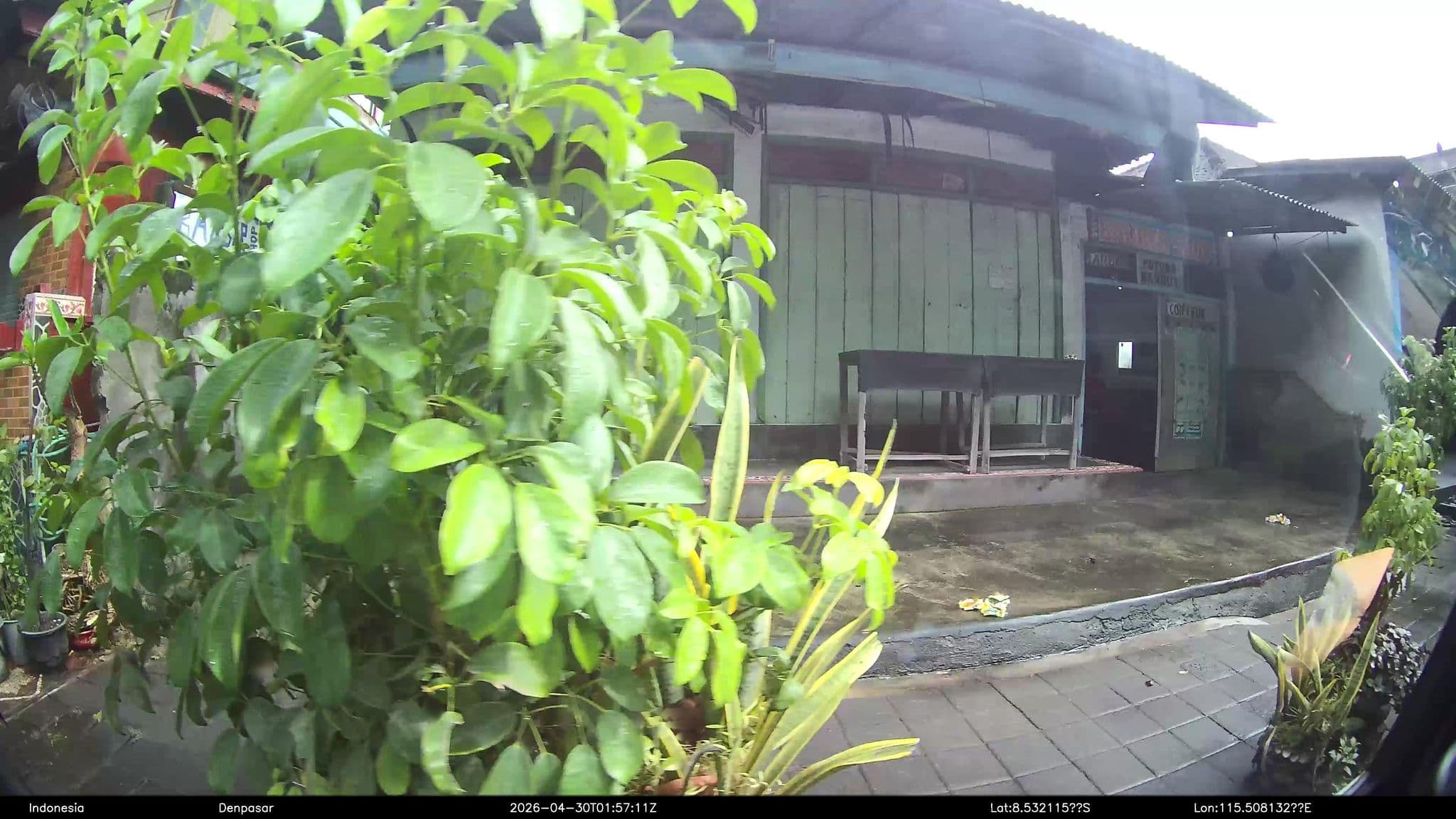 Street view near Fat Barracuda, Banjar Wangsian — © Kaart---LEFT (CC BY-SA · Mapillary)