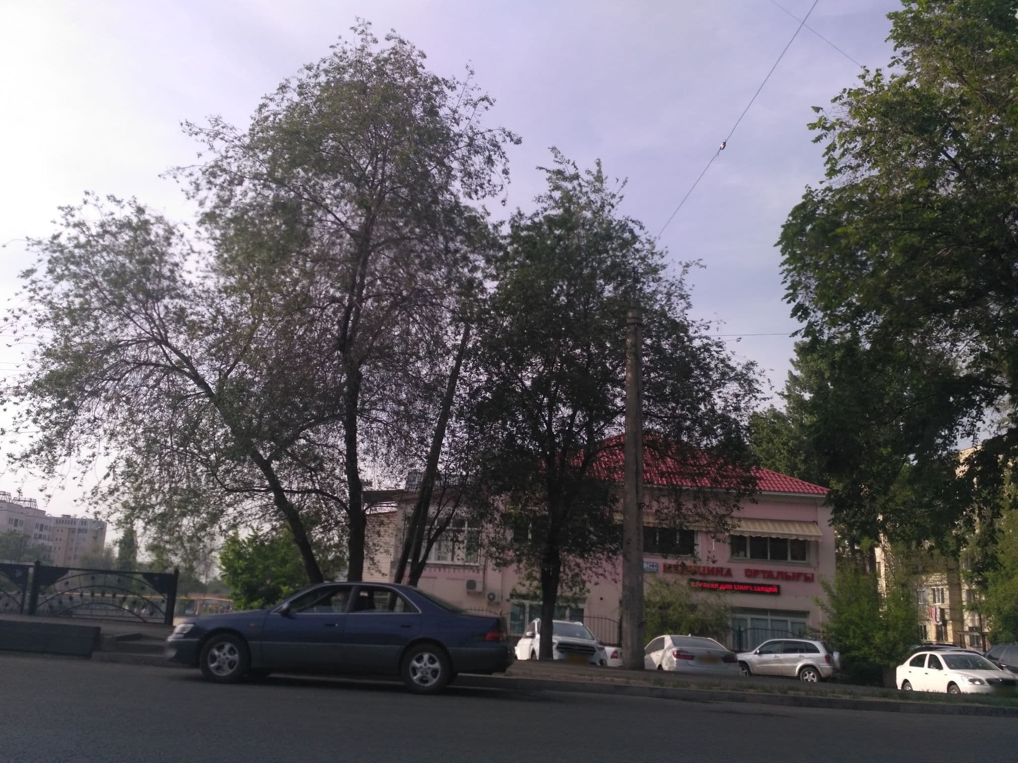 Street view near Global hostel, Almaty — © ldenisn (CC BY-SA · Mapillary)
