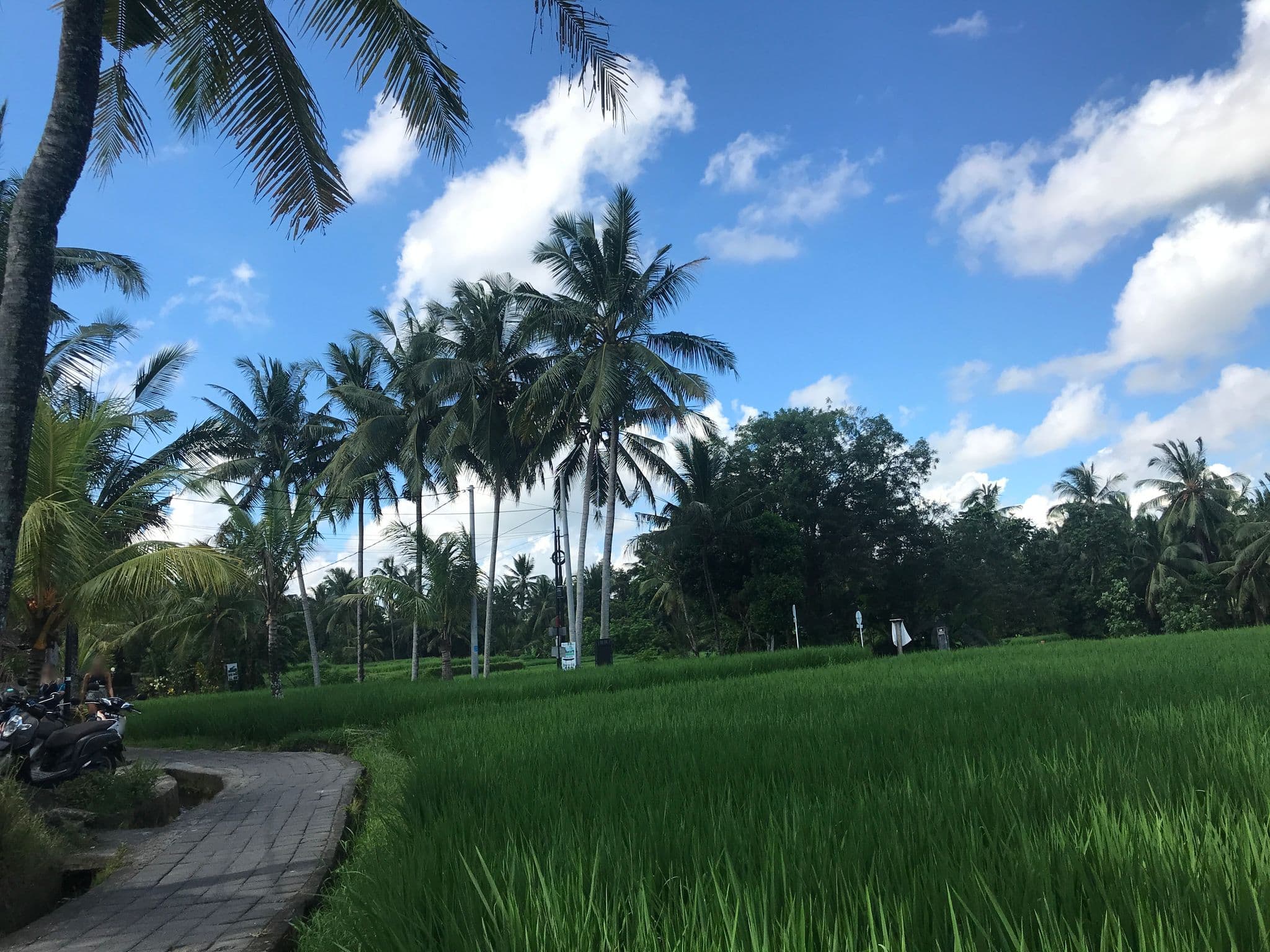 Street view near Pondok Carik, Ubud