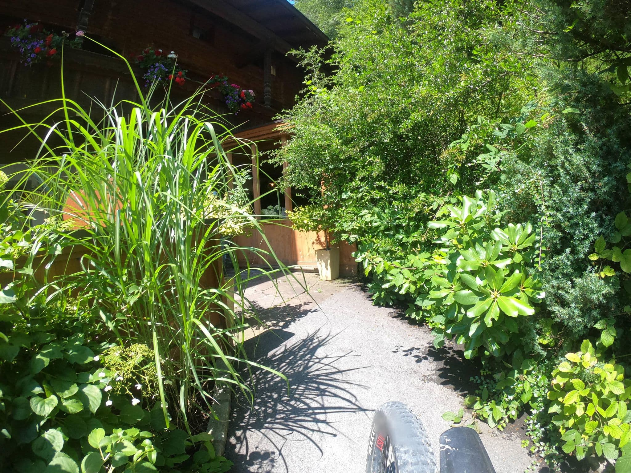 Street view near Weiherhof, Alpbach — © vinisa (CC BY-SA · Mapillary)