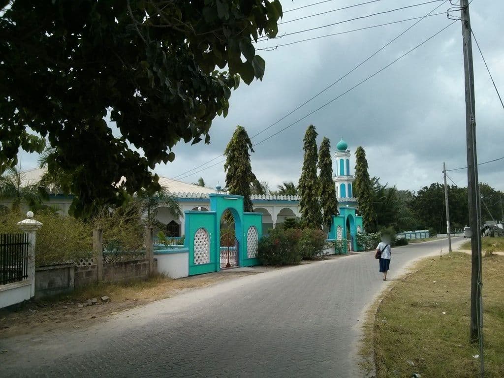 Street view near Travellers Lodge Bagamoyo, Bagamoyo — © janvanbekkum (CC BY-SA · Mapillary)