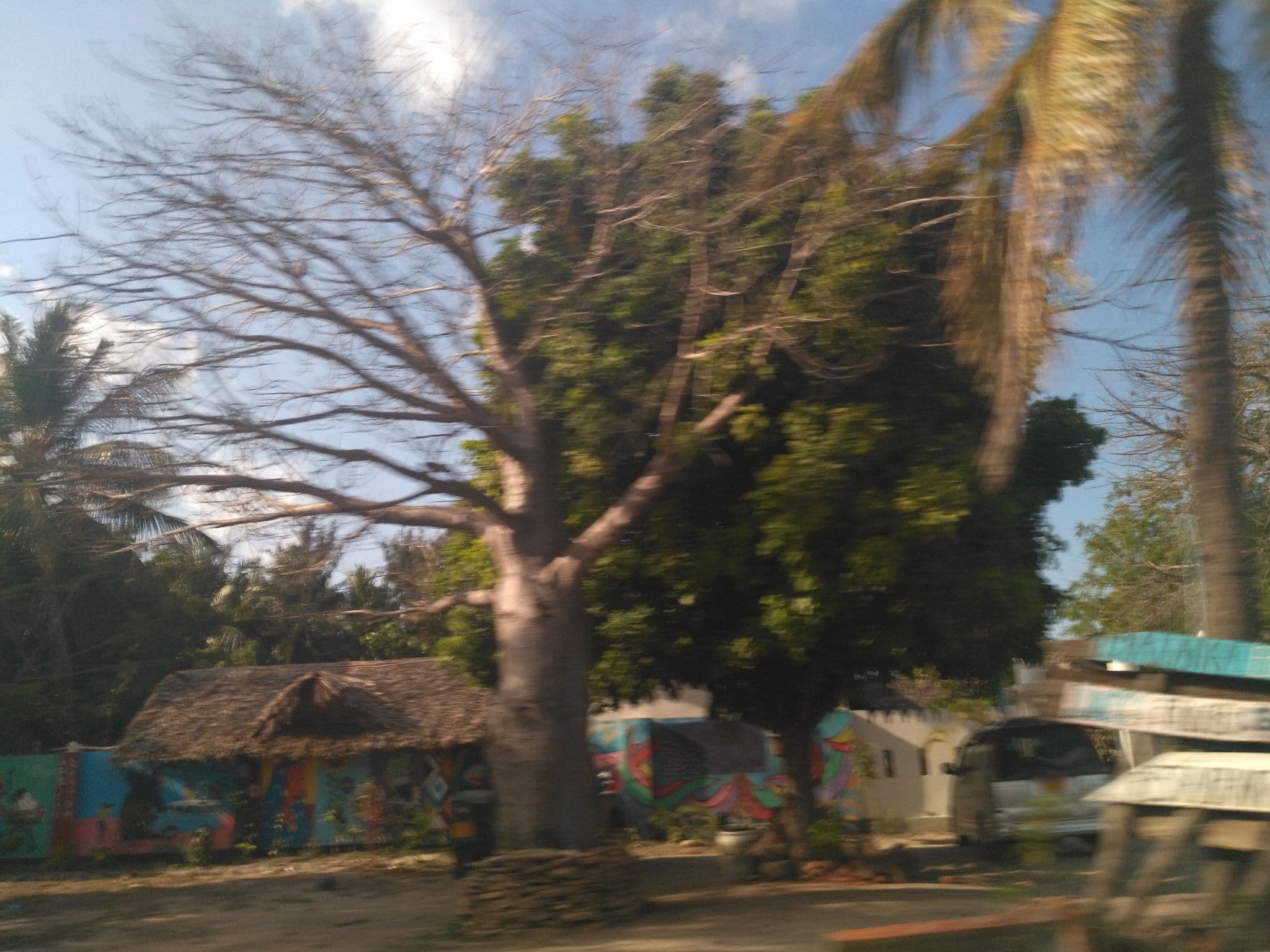 Street view near Malaika Beach Club, Dar es Salaam — © ralebipim (CC BY-SA · Mapillary)
