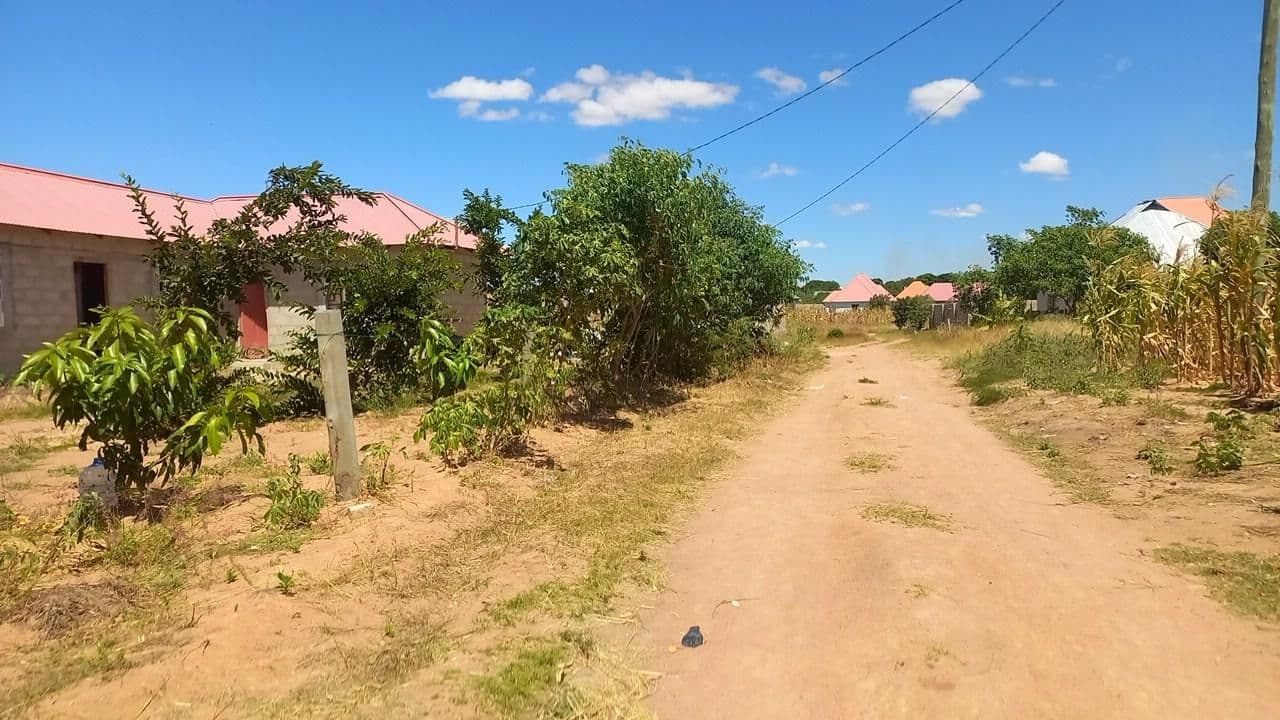 Street view near Dom Best Hostel, Dodoma — © MarcoMruma (CC BY-SA · Mapillary)