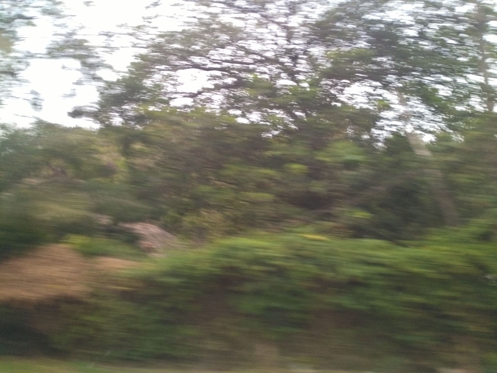 Street view near The Mango Villa- Capripoint, Mwanza — © ralebipim (CC BY-SA · Mapillary)