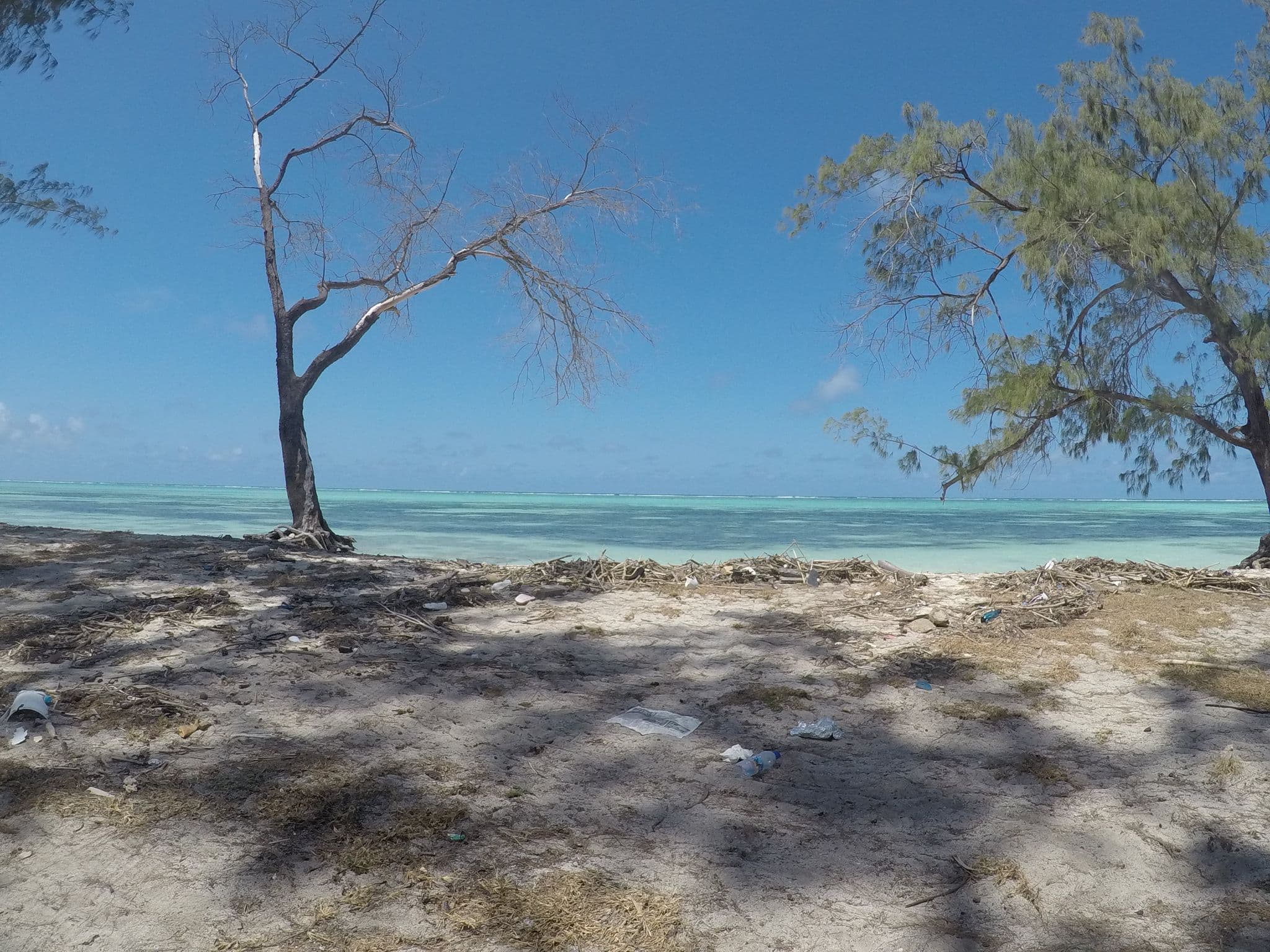 Street view near Clove Island Villas & Spa, Nganane — © omarshehe (CC BY-SA · Mapillary)