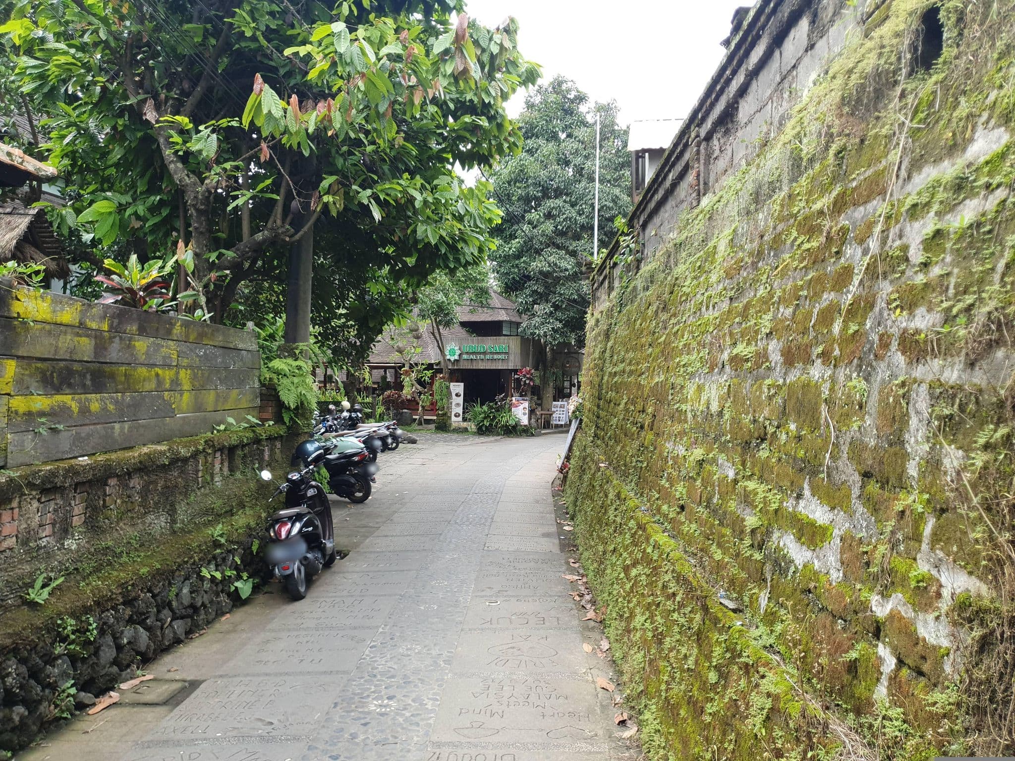 Street view near Ubud Sari Health Resort, Ubud