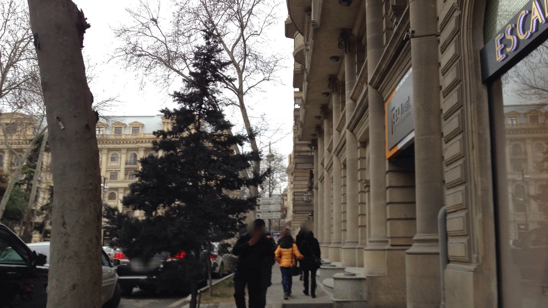 Street view near Elysium Hotel, Baku — © geomapper69 (CC BY-SA · Mapillary)