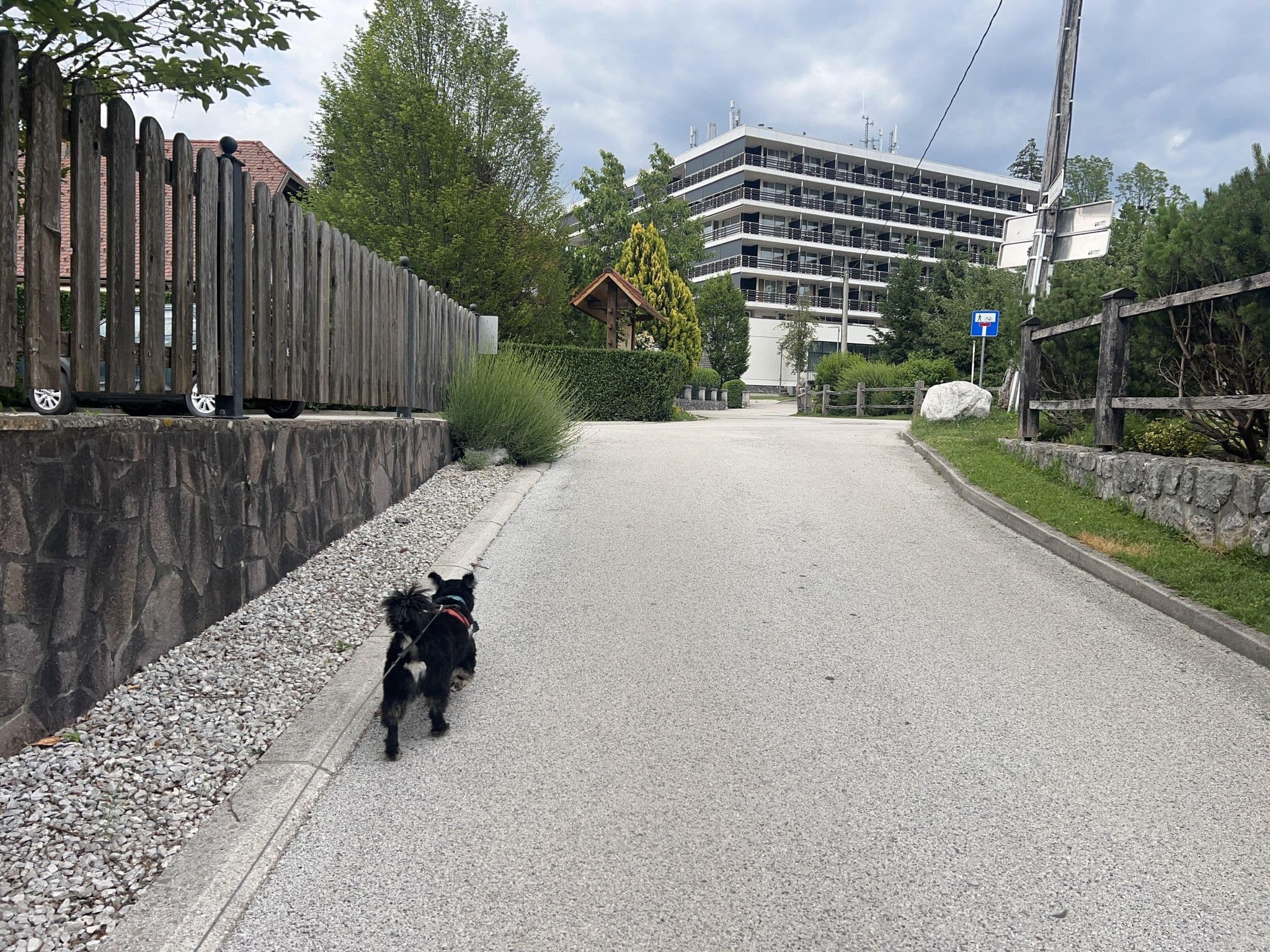 Street view near Penzion Berc, Bled — © igorzo (CC BY-SA · Mapillary)