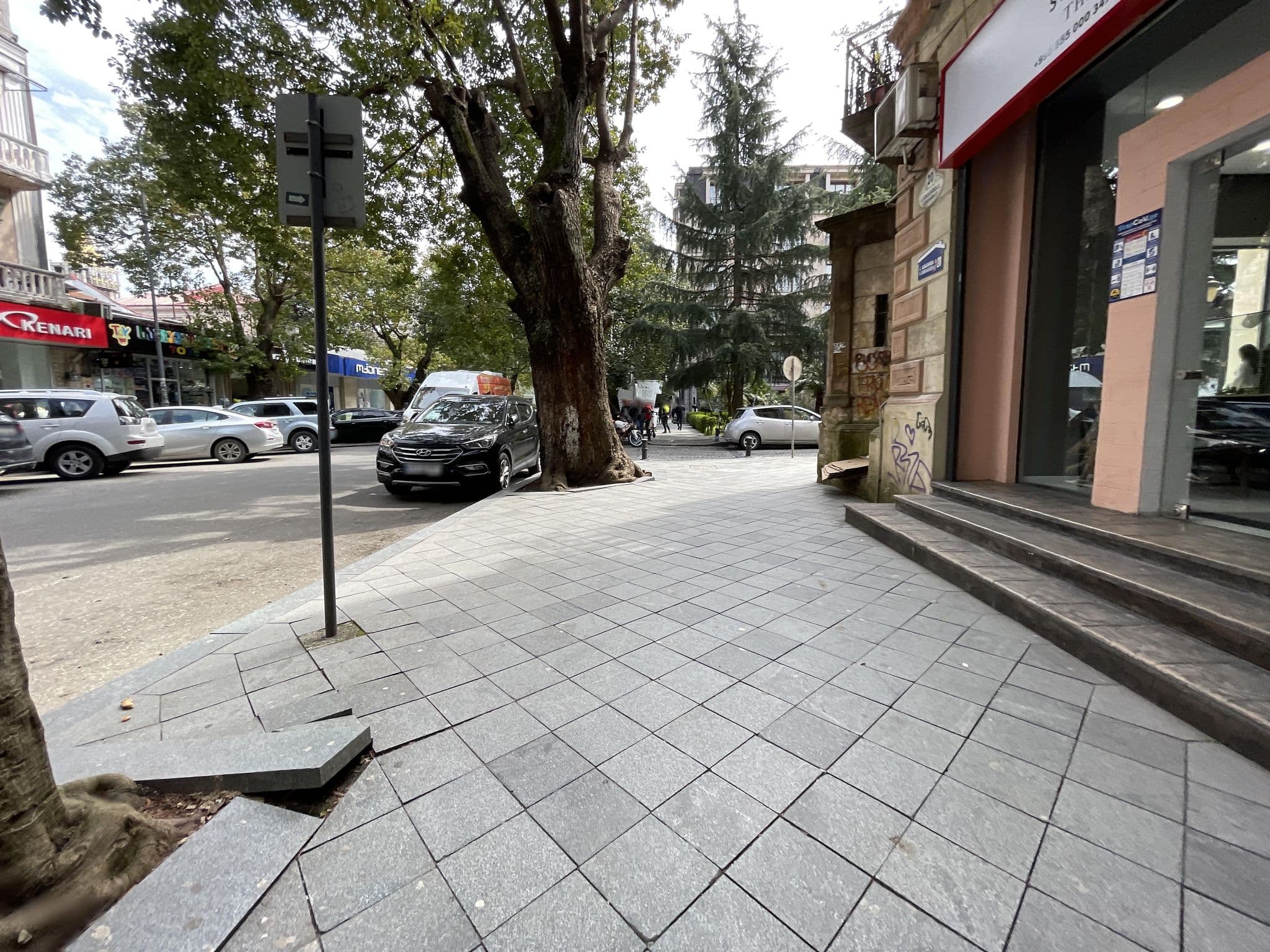 Street view near InterContinental Hostel, Batumi — © egorka (CC BY-SA · Mapillary)