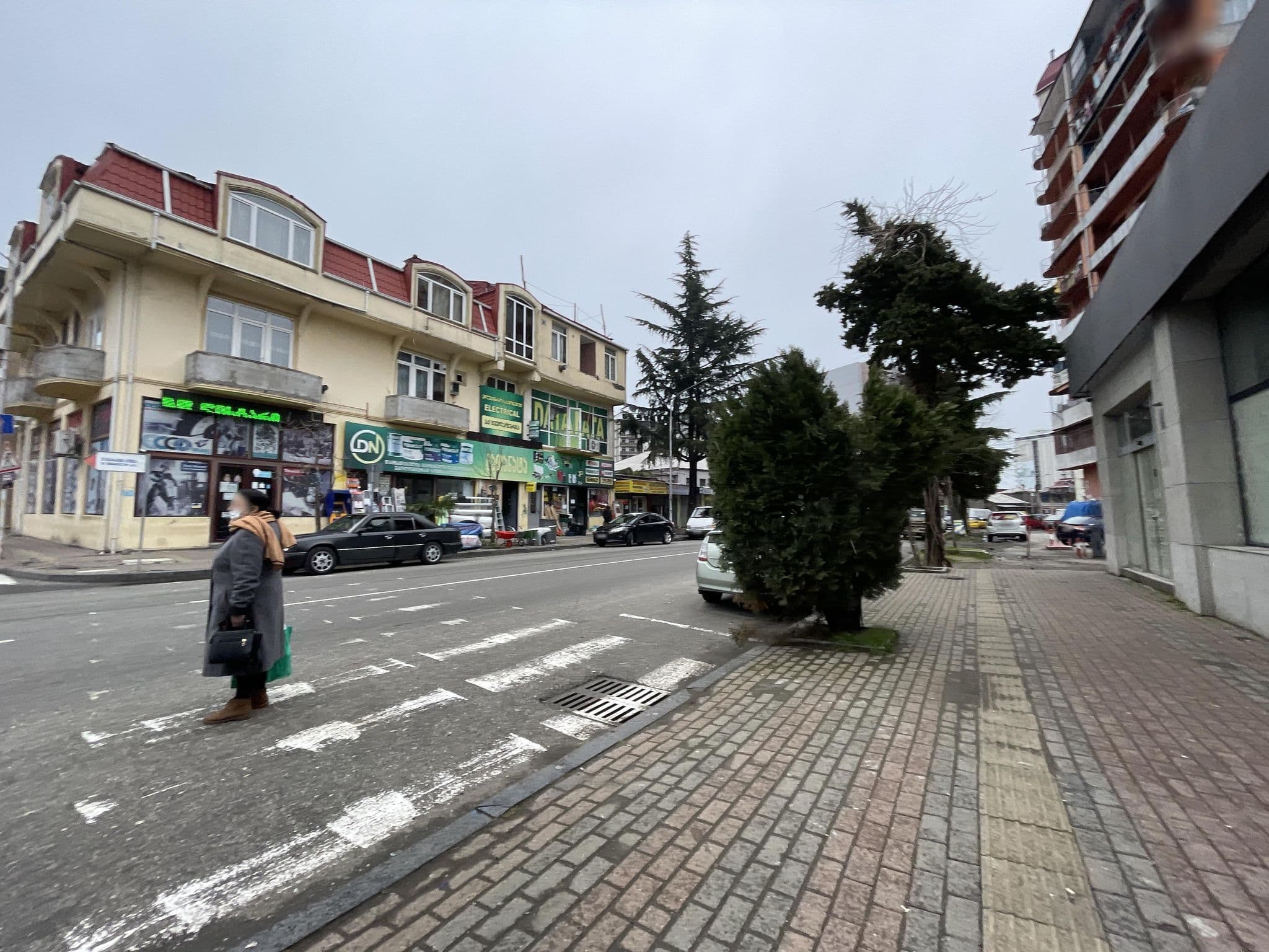 Street view near Hostel on Pushkini Street 52, Batumi — © egorka (CC BY-SA · Mapillary)