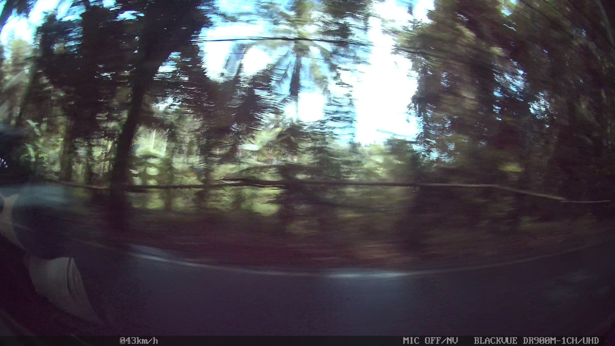 Street view near Daly lidi, Ubud