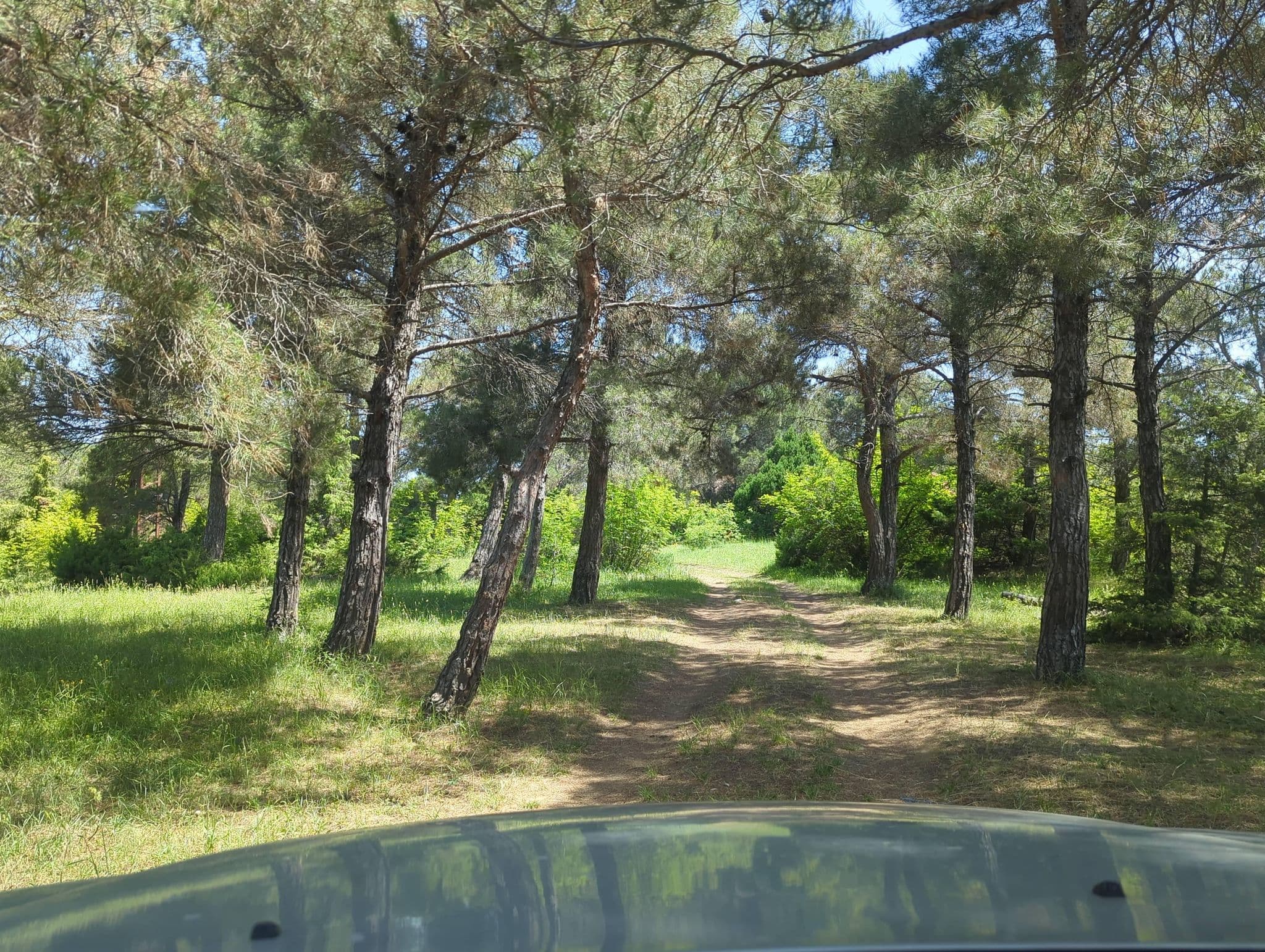 Street view near Picnik Area, Mtskheta — © skemmdar (CC BY-SA · Mapillary)
