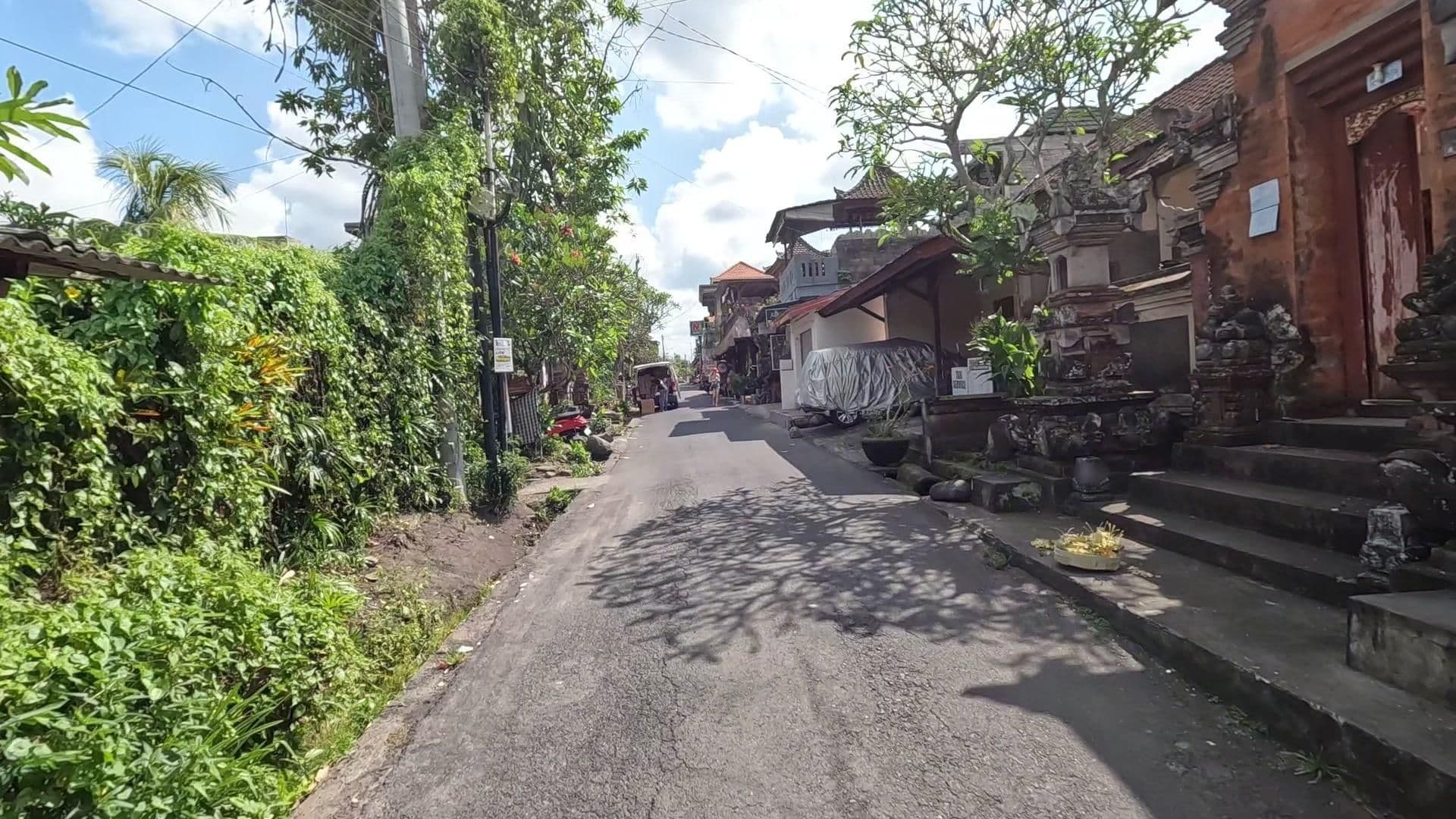 Street view near Jiwa's House, Ubud