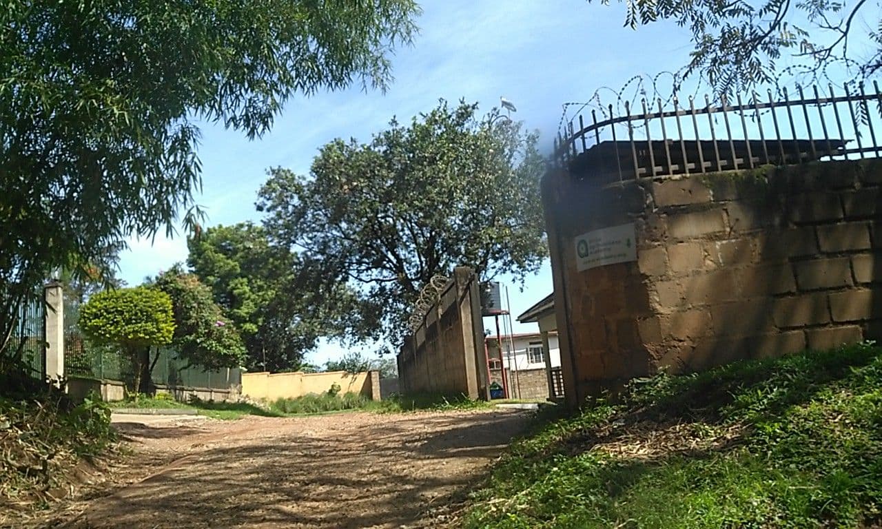 Street view near Mt Zion Hotel Annex, Kampala — © ralebipim (CC BY-SA · Mapillary)