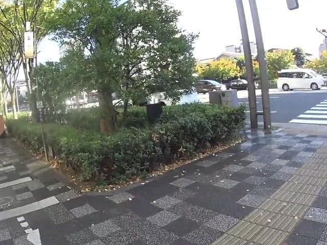 Street view near Oakwood Hotel Kyoto Oike, Kyoto — © yasunari (CC BY-SA · Mapillary)