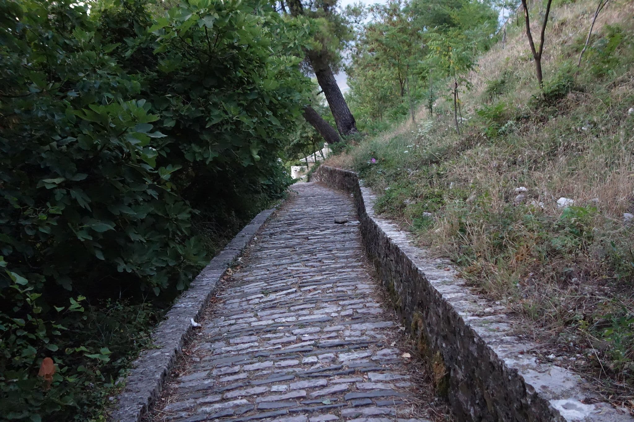 Street view near Vila Mantho, Gjirokastër — © malenki (CC BY-SA · Mapillary)