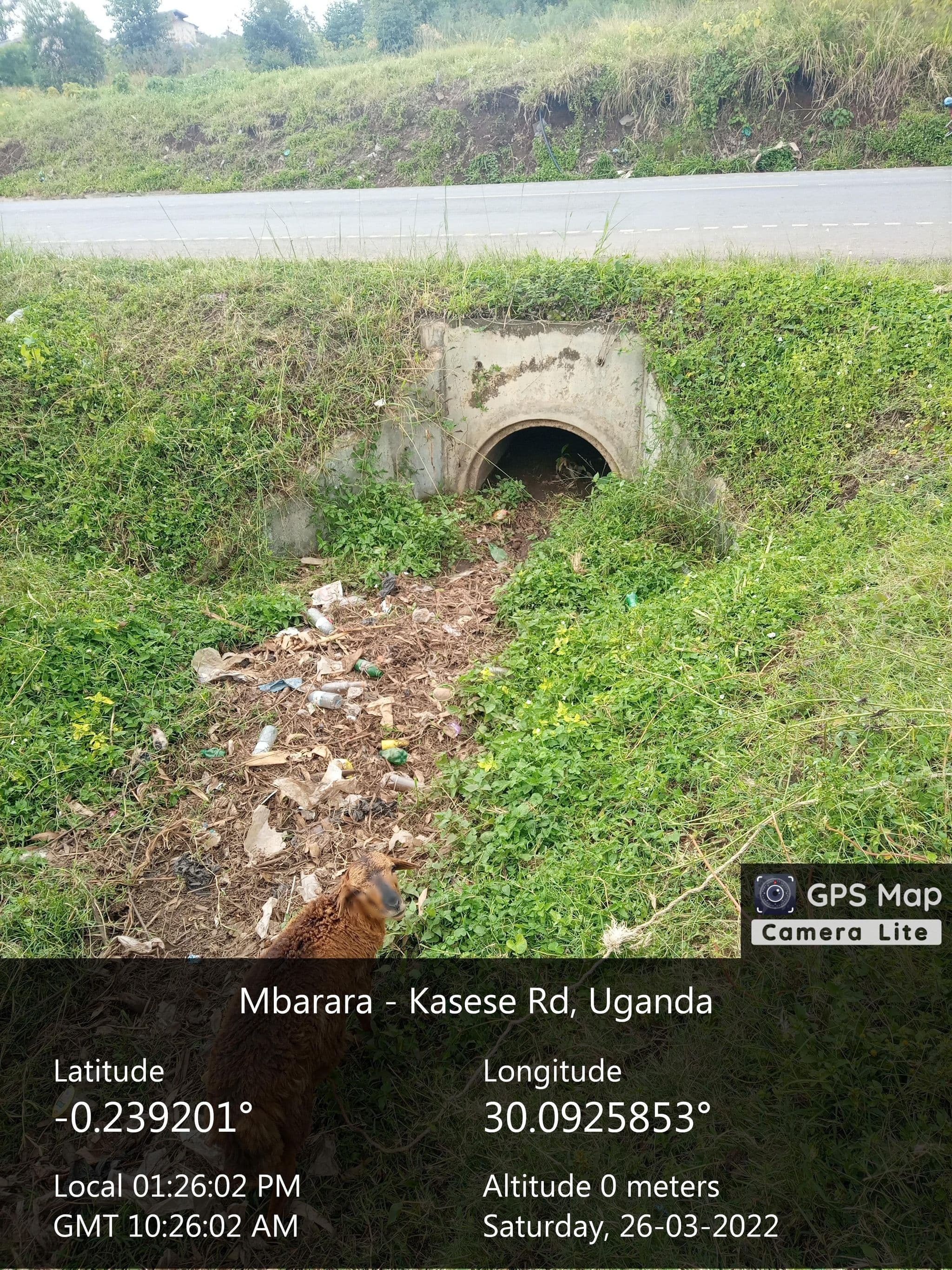 Street view near Ibanga Escape, Rubirizi — © miannare (CC BY-SA · Mapillary)