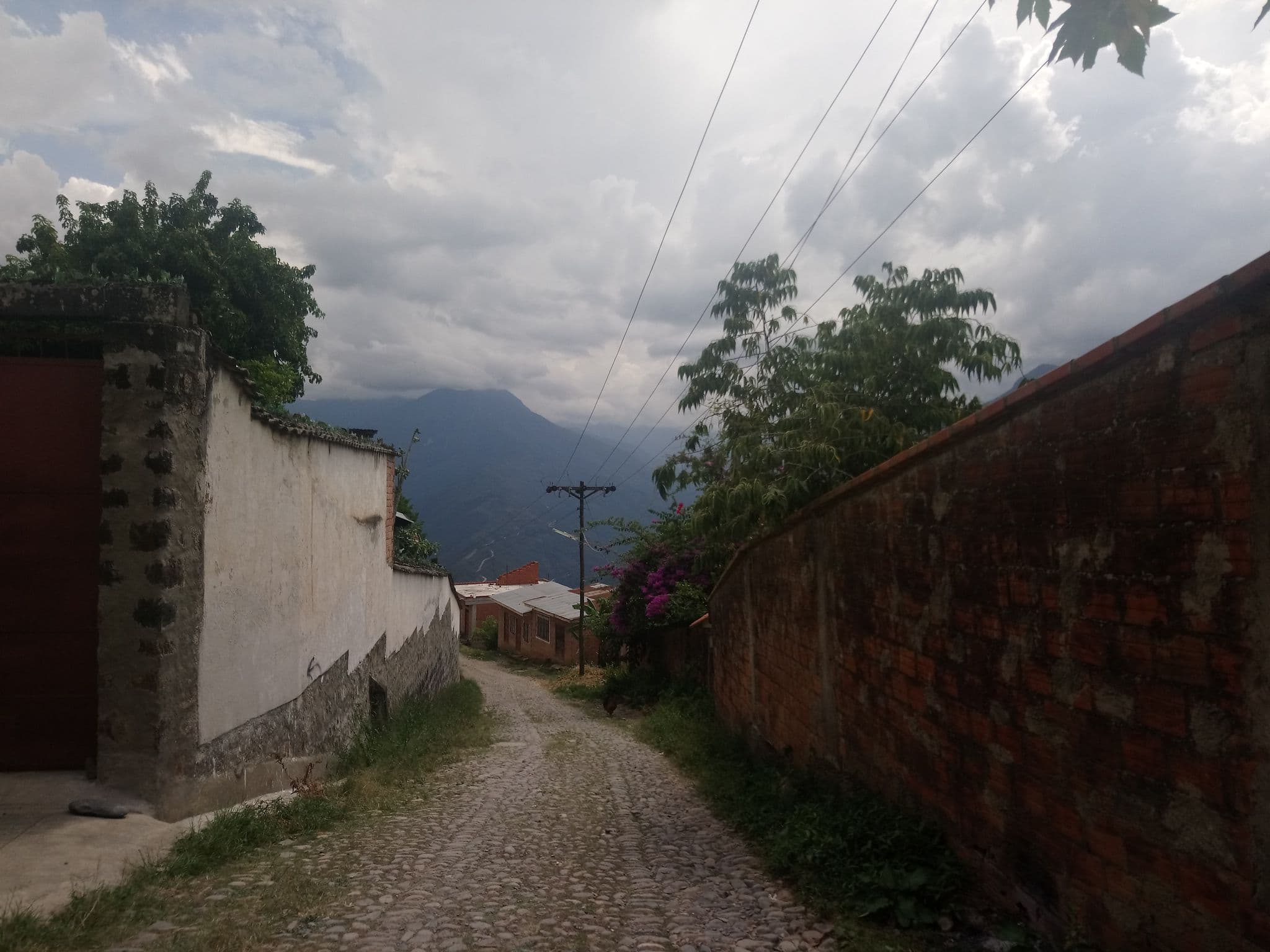Street view near Hostal - Cafeteria Kurmi, Coroico — © caleidoscopic (CC BY-SA · Mapillary)