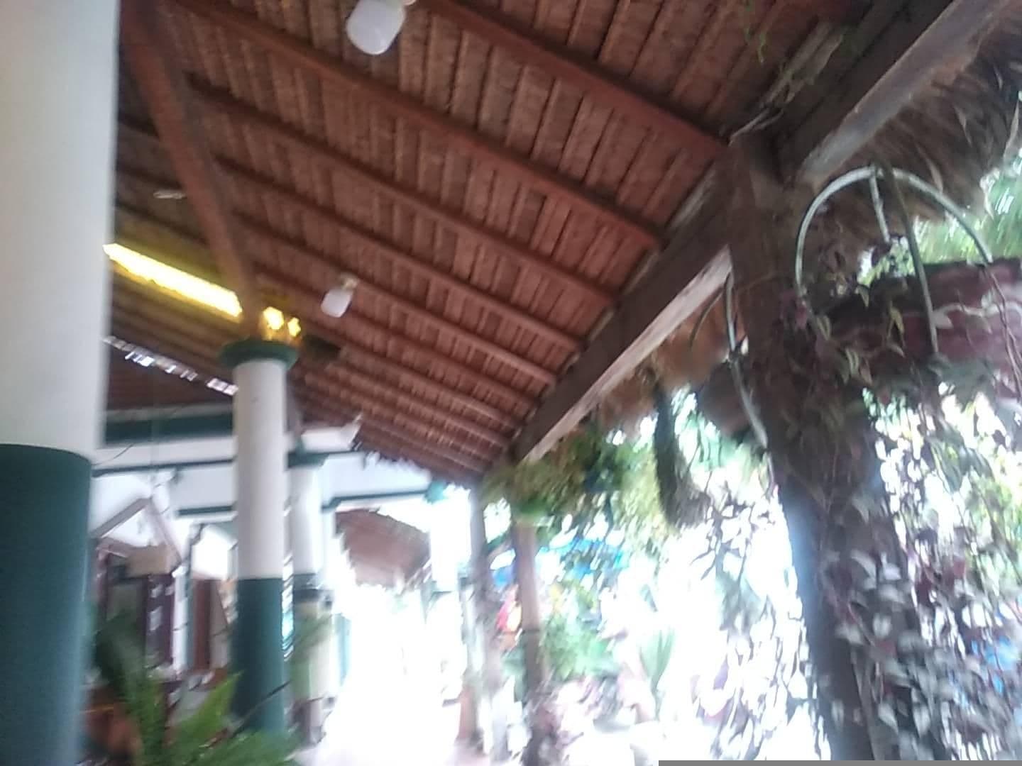 Street view near Hotel Pahuichi, Rurrenabaque — © fabi77 (CC BY-SA · Mapillary)