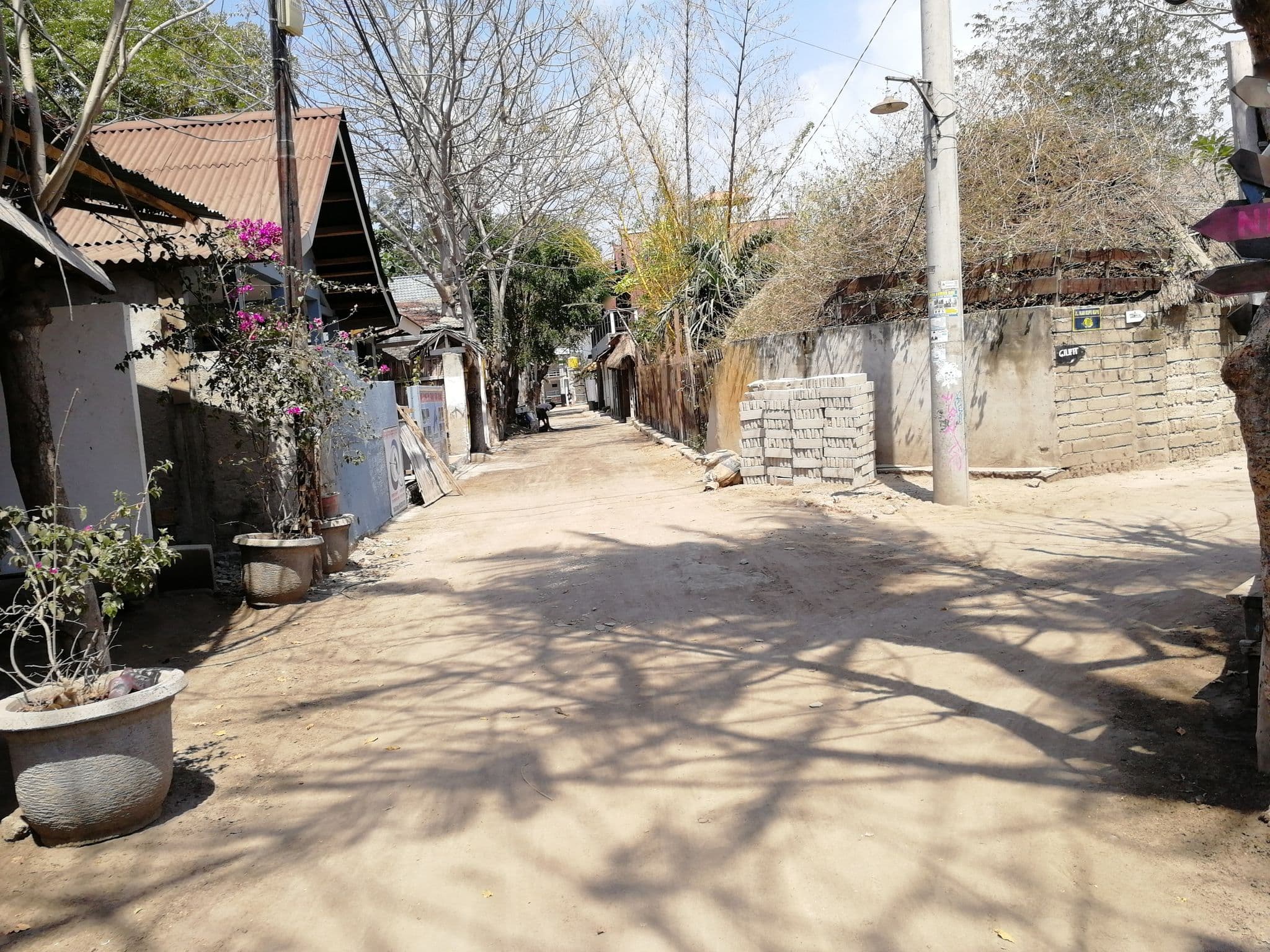 Street view near Bayu Homestay, Gili Trawangan