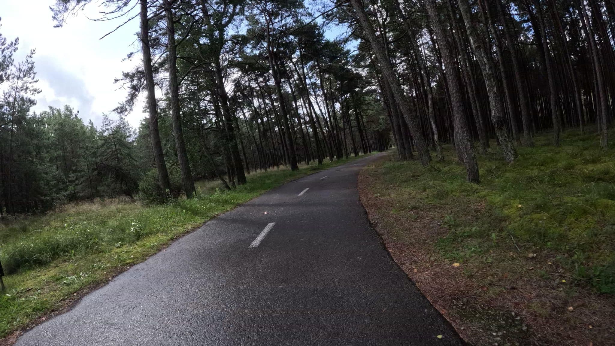 Street view near Preila 2, Neringa — © fischnchips (CC BY-SA · Mapillary)