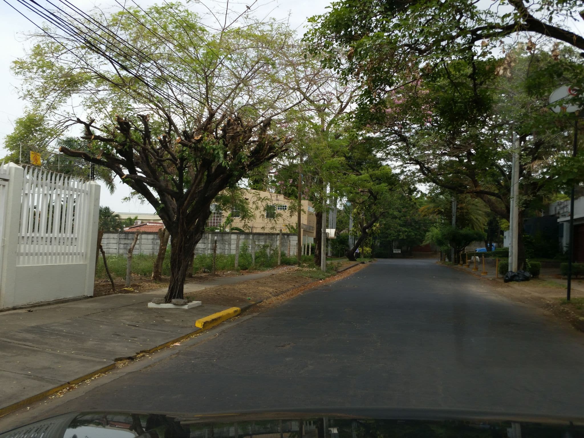 Street view near Hotel Brandts, Managua — © jaakkoh (CC BY-SA · Mapillary)
