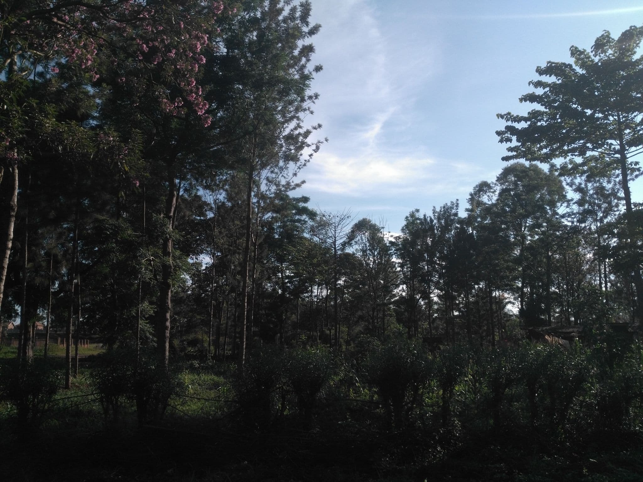 Street view near Spark Africa Hotel - Jinja City, Njeru — © ralebipim (CC BY-SA · Mapillary)