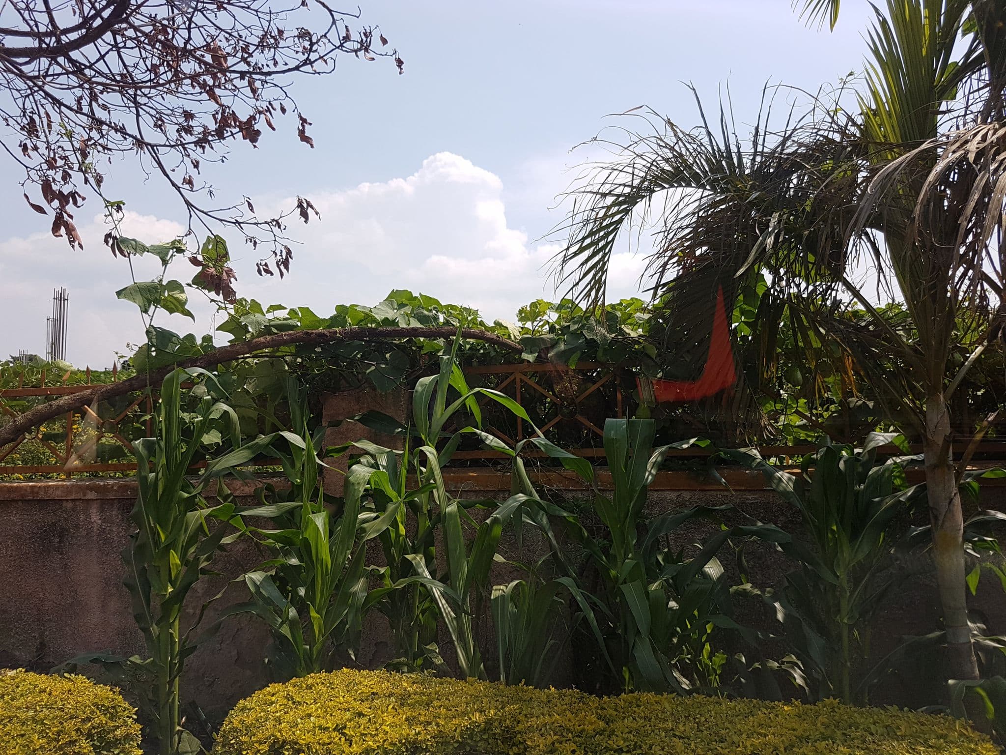 Street view near Countryside Resthouse, Kisoro — © shamillah (CC BY-SA · Mapillary)